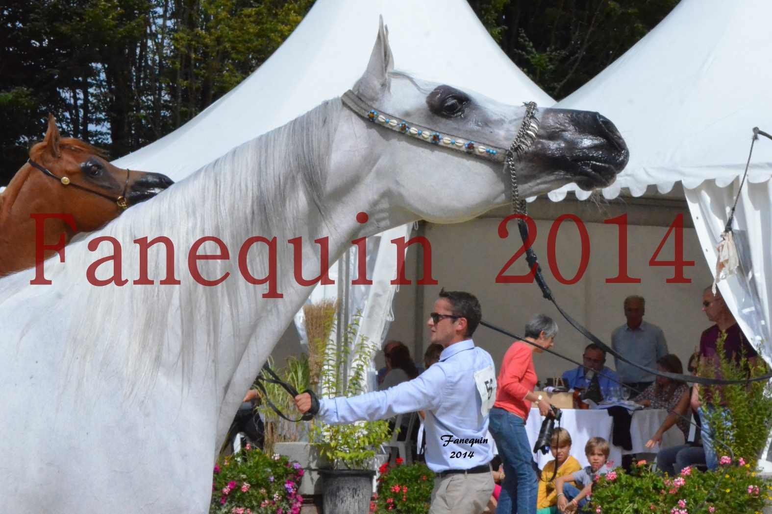 CHAMPIONNAT DE FRANCE 2014 A POMPADOUR - Notre Sélection - Portraits - BLEUENN MILIN AVEL - 2