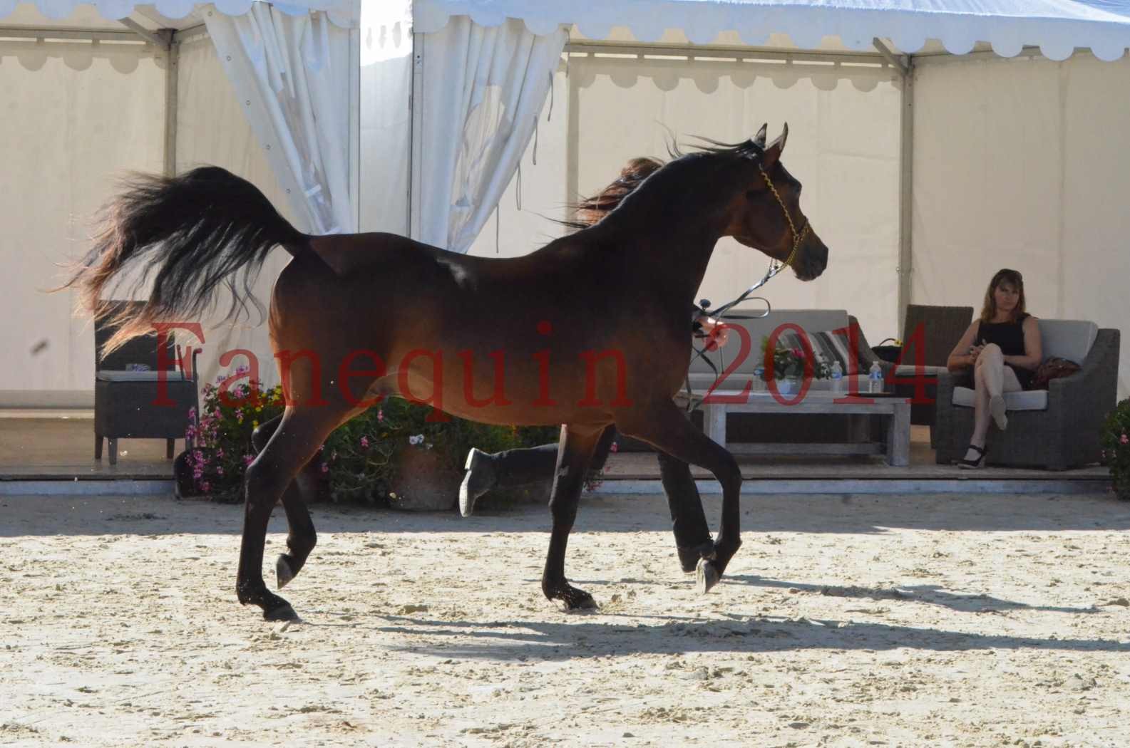 Championnat de FRANCE 2014 - Amateurs - JA KHALEB - 13