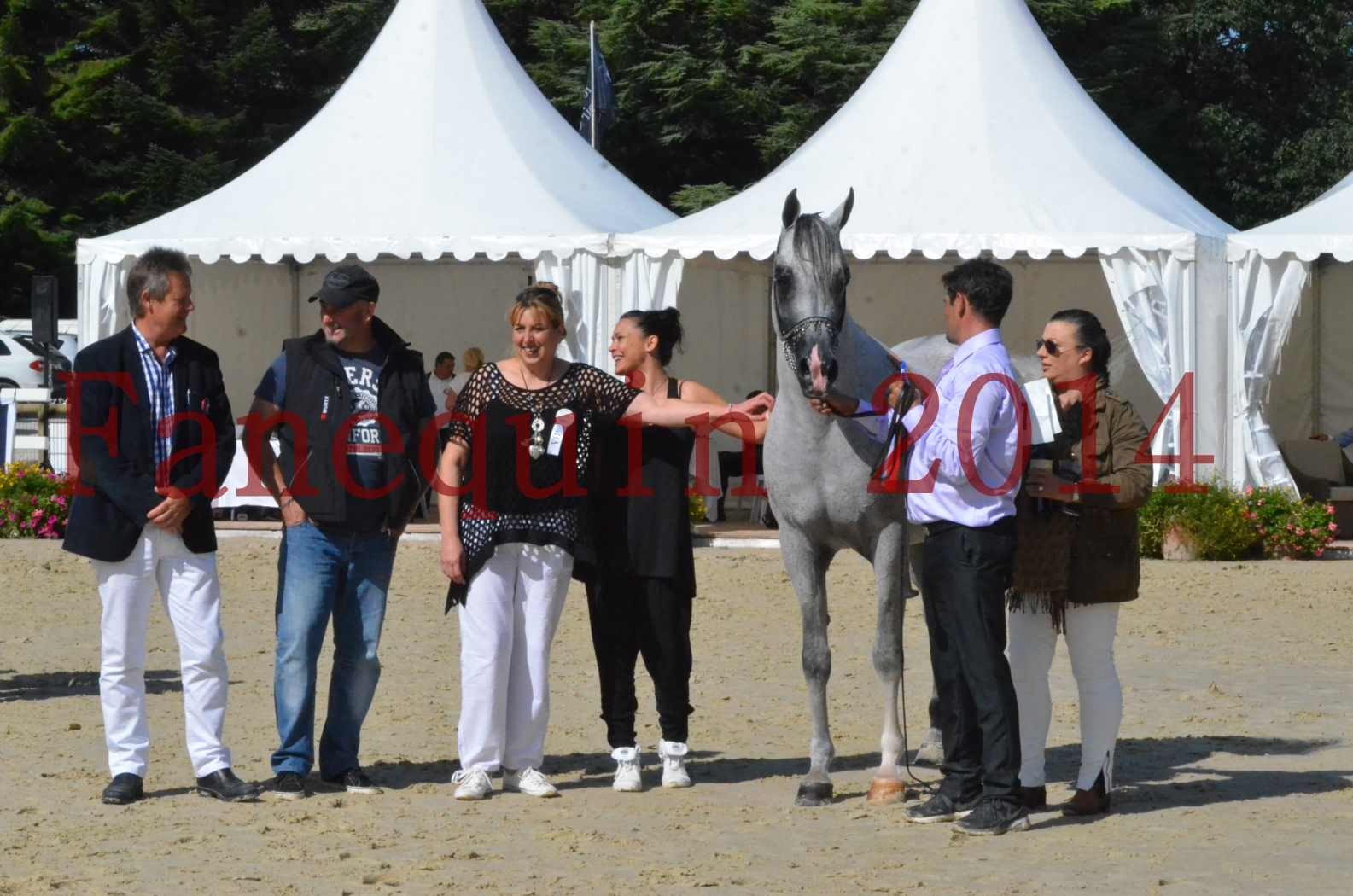 CHAMPIONNAT DE FRANCE  2014 A POMPADOUR - Sélection - SHEYK DE GARGASSAN - 20