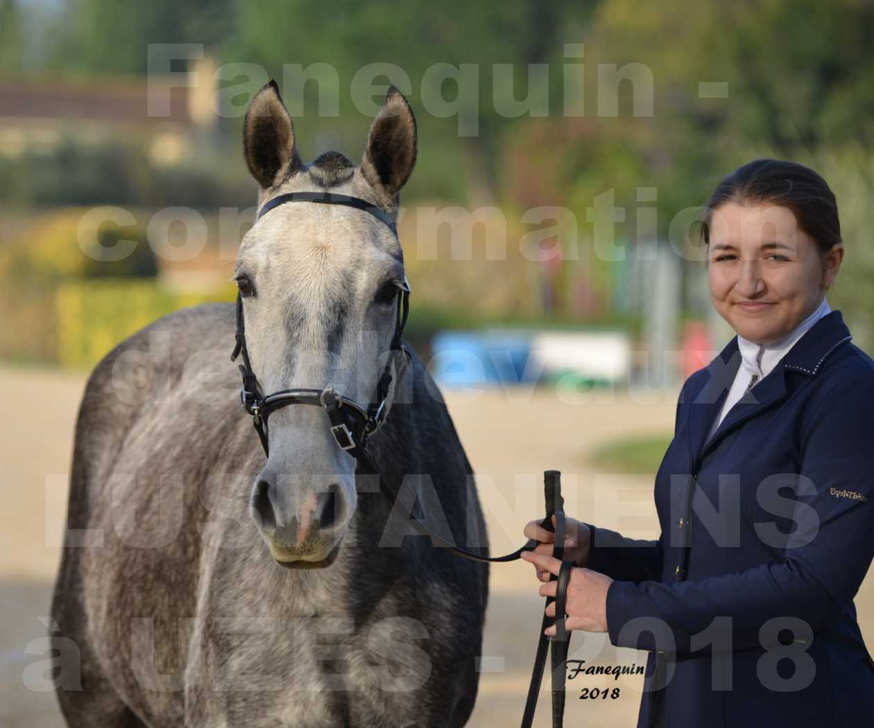 Confirmation de chevaux LUSITANIENS aux Haras d'UZES Novembre 2018 - DALIA DU CLOS - Portraits - 2