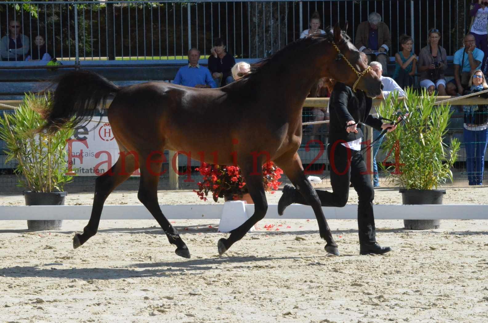 Championnat de FRANCE 2014 - Amateurs - JA KHALEB - 06