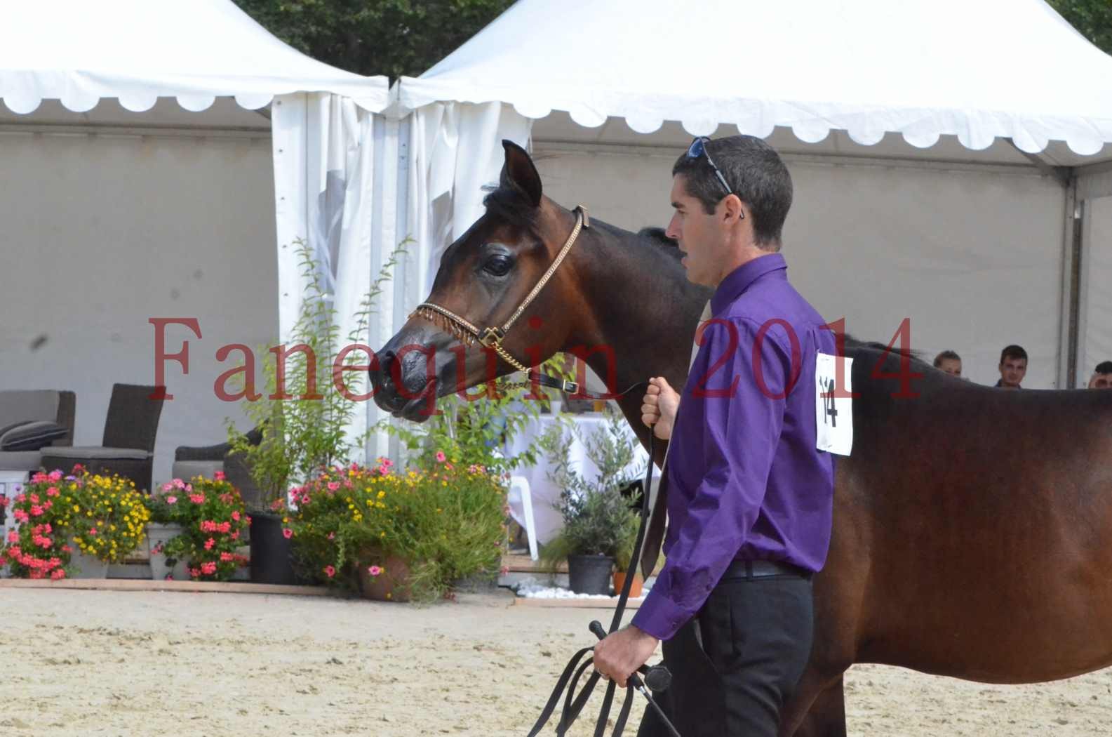 Championnat de FRANCE 2014 - Amateurs - SH FARAJAA - 31