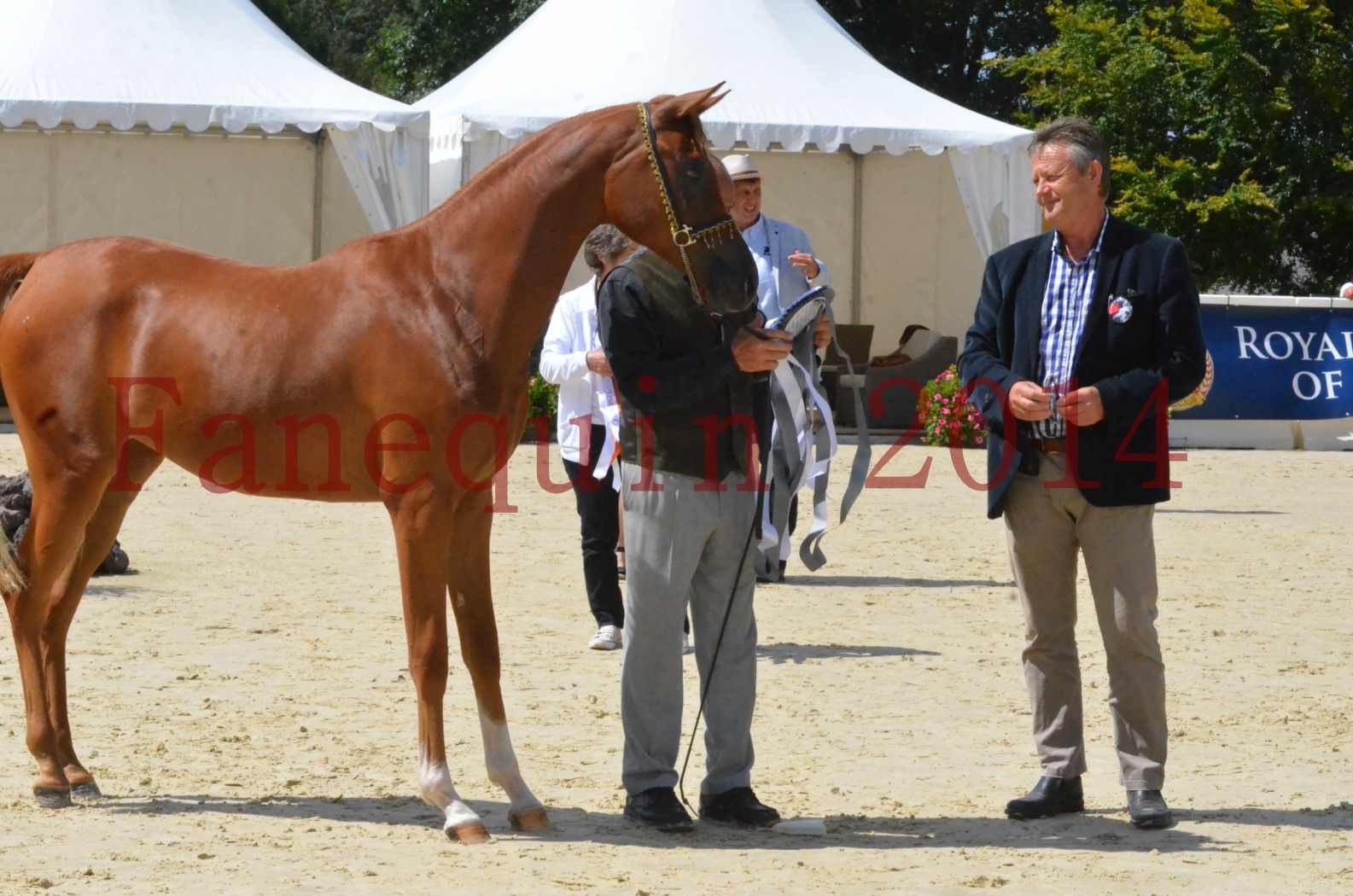 Championnat de FRANCE 2014 - Amateurs - SH CALLAS BINT ARMANI - 54