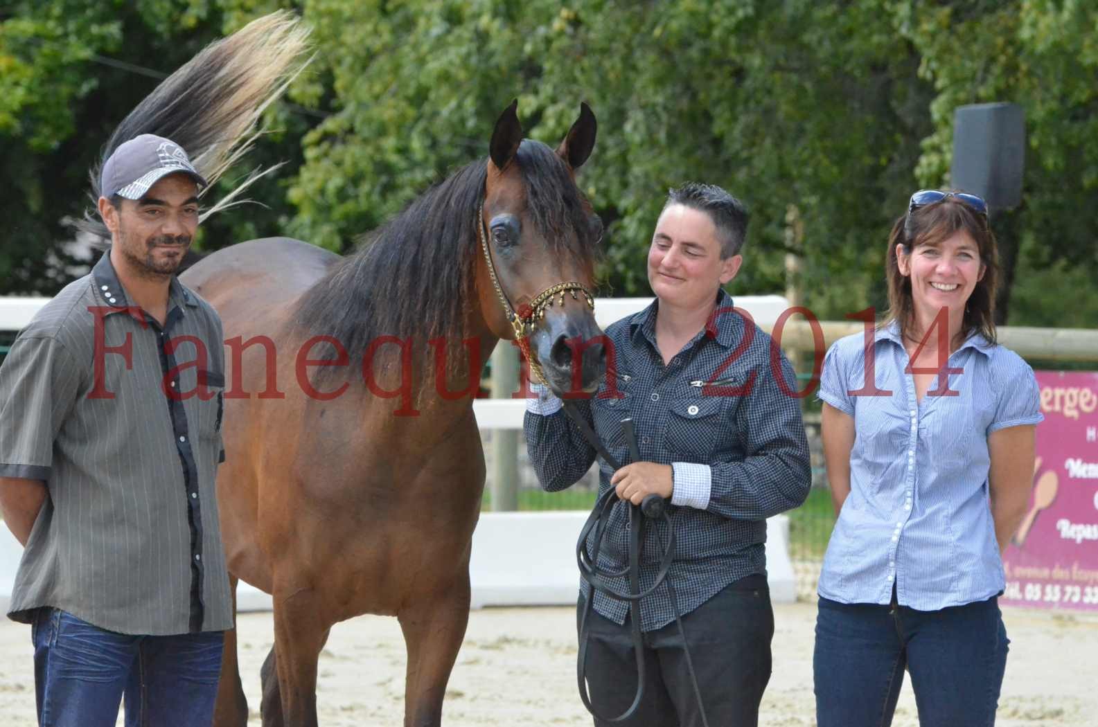 Championnat de FRANCE 2014 - Amateurs - KAL'ELLE D'ELHORIA - 98