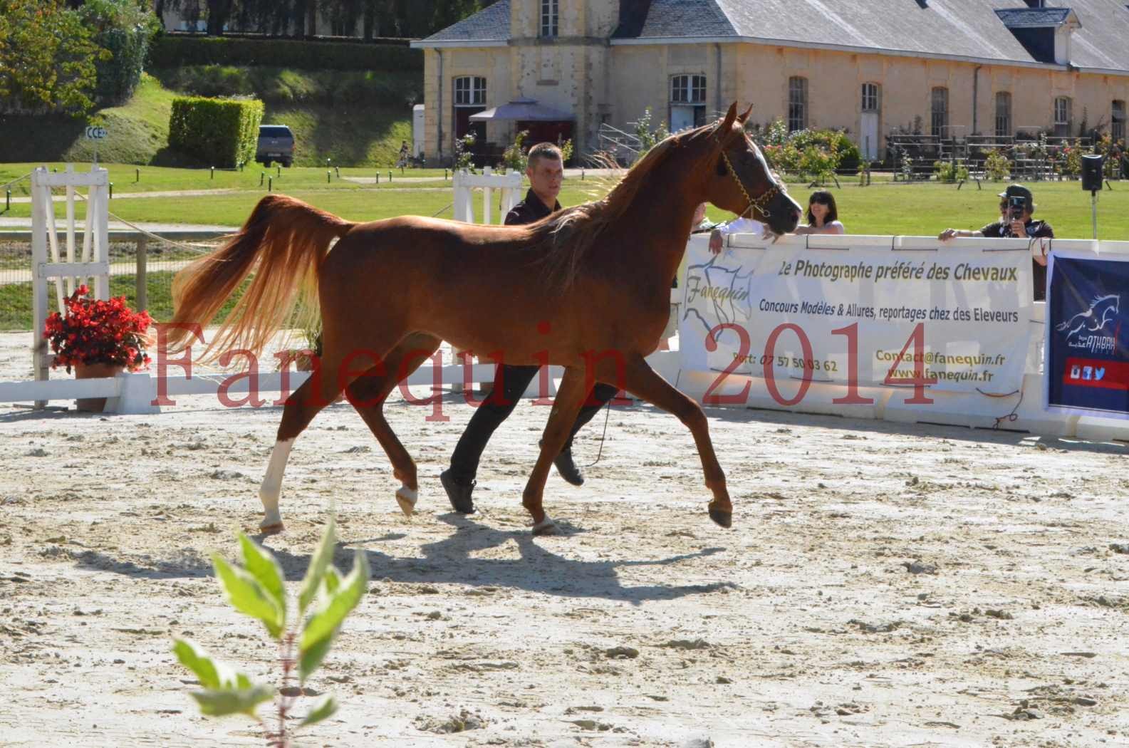 Championnat de FRANCE 2014 - Amateurs - SELECTO IBN SAMAWI - 006