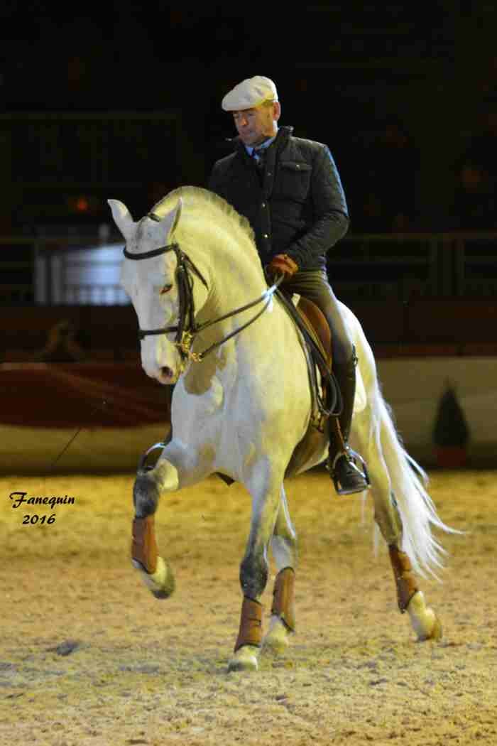 Cheval Passion 2016 - Présentation des LUSITANIENS - Ecurie de Max VENDRELL & Corinne BOUCHITTE - 35