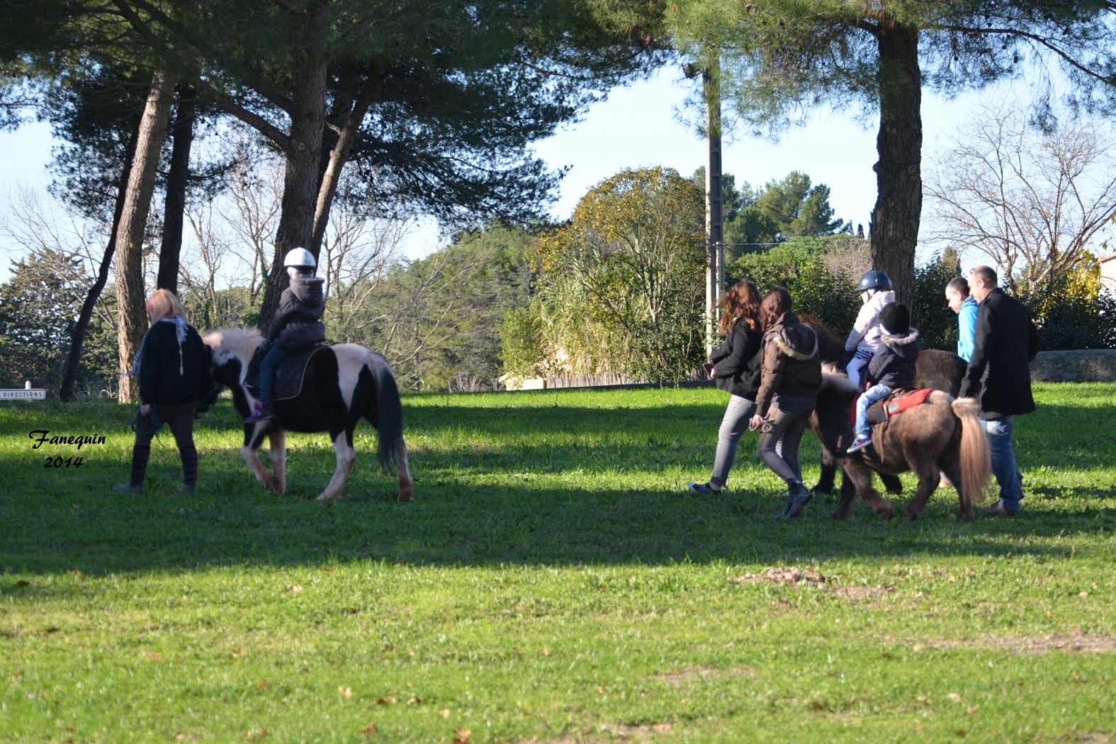 Marchés de Noël 2014 - Promenades en Poneys à Pignan - 11