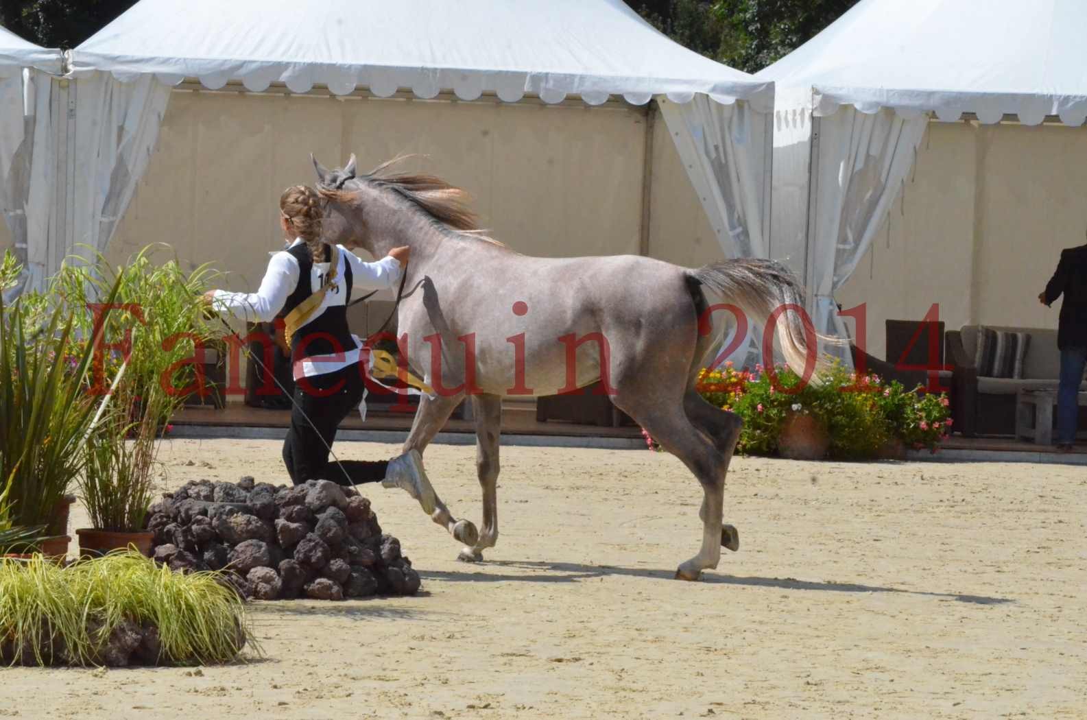 Championnat de FRANCE 2014 - Amateurs - SANA ISHANE - 78