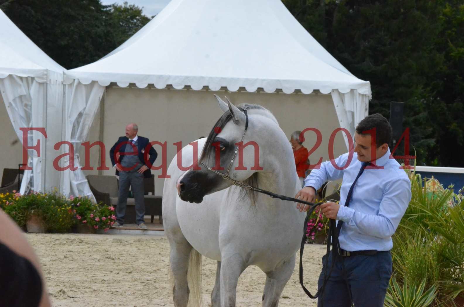 CHAMPIONNAT DE FRANCE  2014 A POMPADOUR - Championnat - SHAOLIN DE NEDJAIA - 30