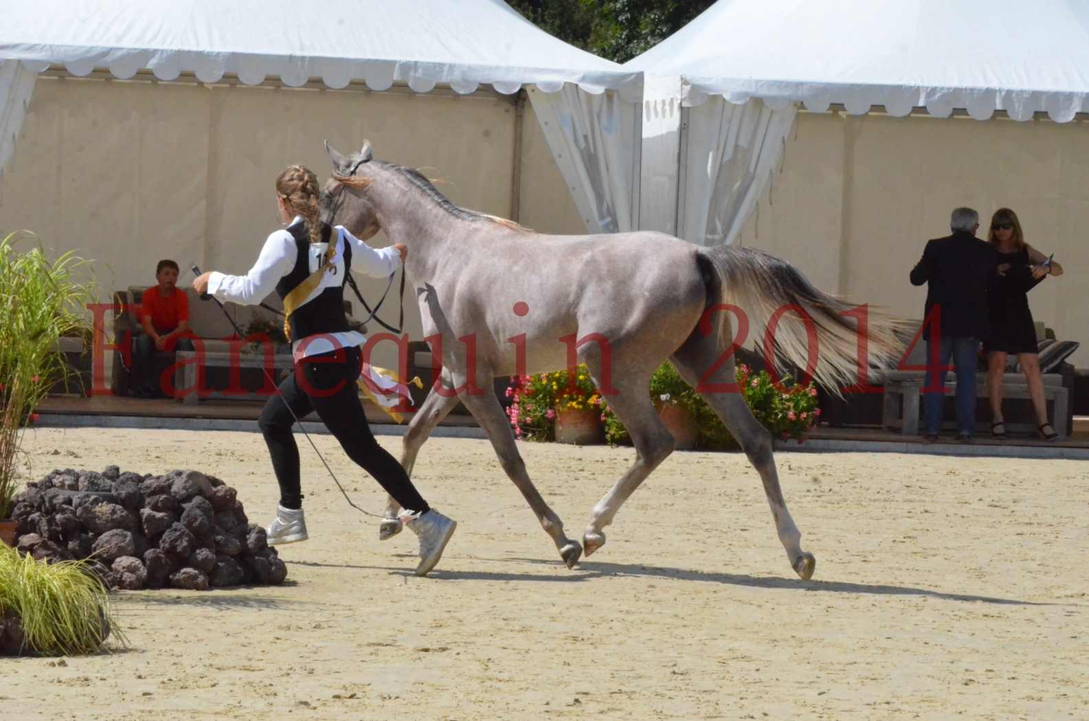 Championnat de FRANCE 2014 - Amateurs - SANA ISHANE - 77