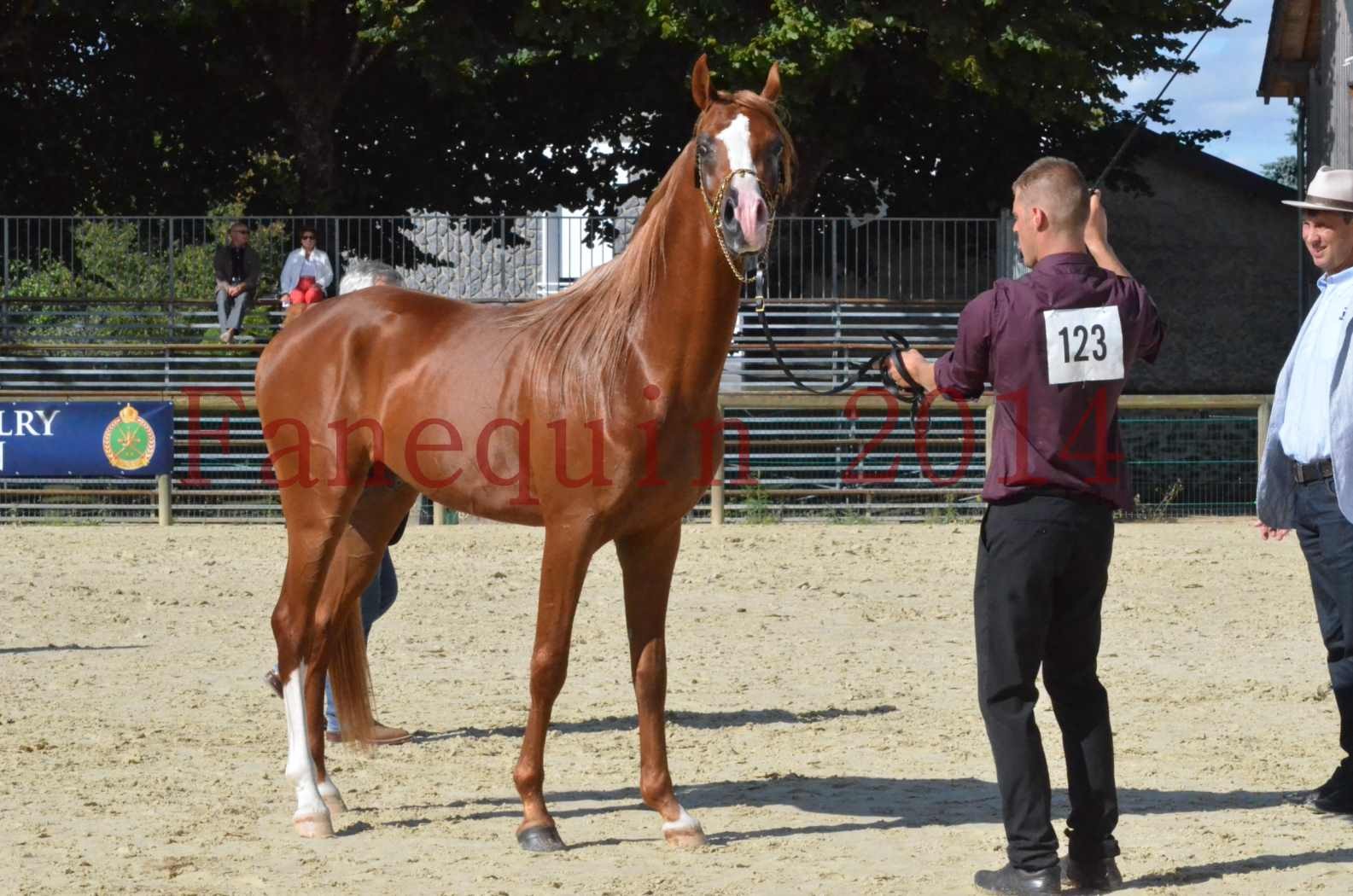 Championnat de FRANCE 2014 - Amateurs - SELECTO IBN SAMAWI - 067