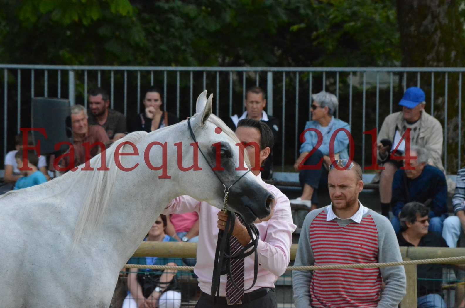 CHAMPIONNAT DE FRANCE 2014 A POMPADOUR - Championnat - FA STARLIGHT - 12