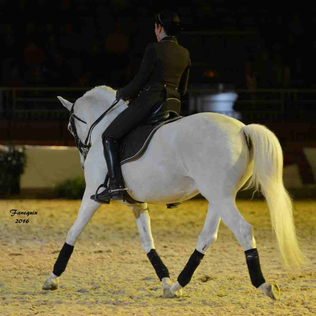 Cheval Passion 2016 - Présentation des LUSITANIENS - Ecurie de Max VENDRELL & Corinne BOUCHITTE - 42
