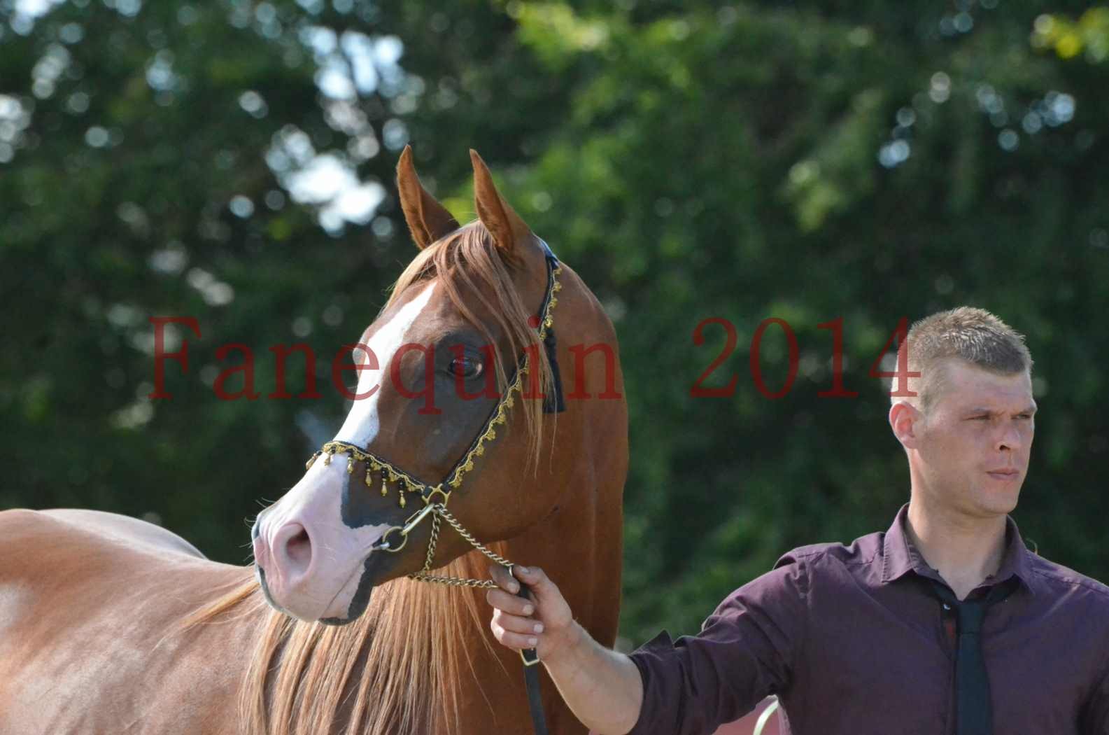 Championnat de FRANCE 2014 - Amateurs - SELECTO IBN SAMAWI - 108