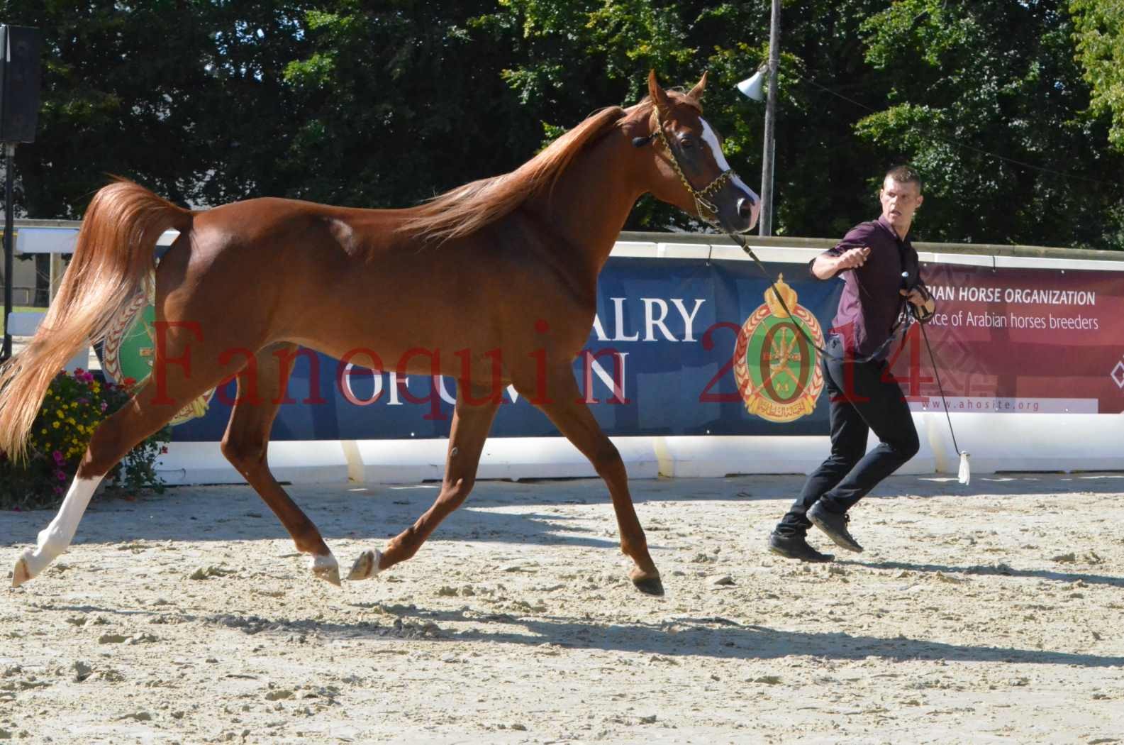 Championnat de FRANCE 2014 - Amateurs - SELECTO IBN SAMAWI - 033