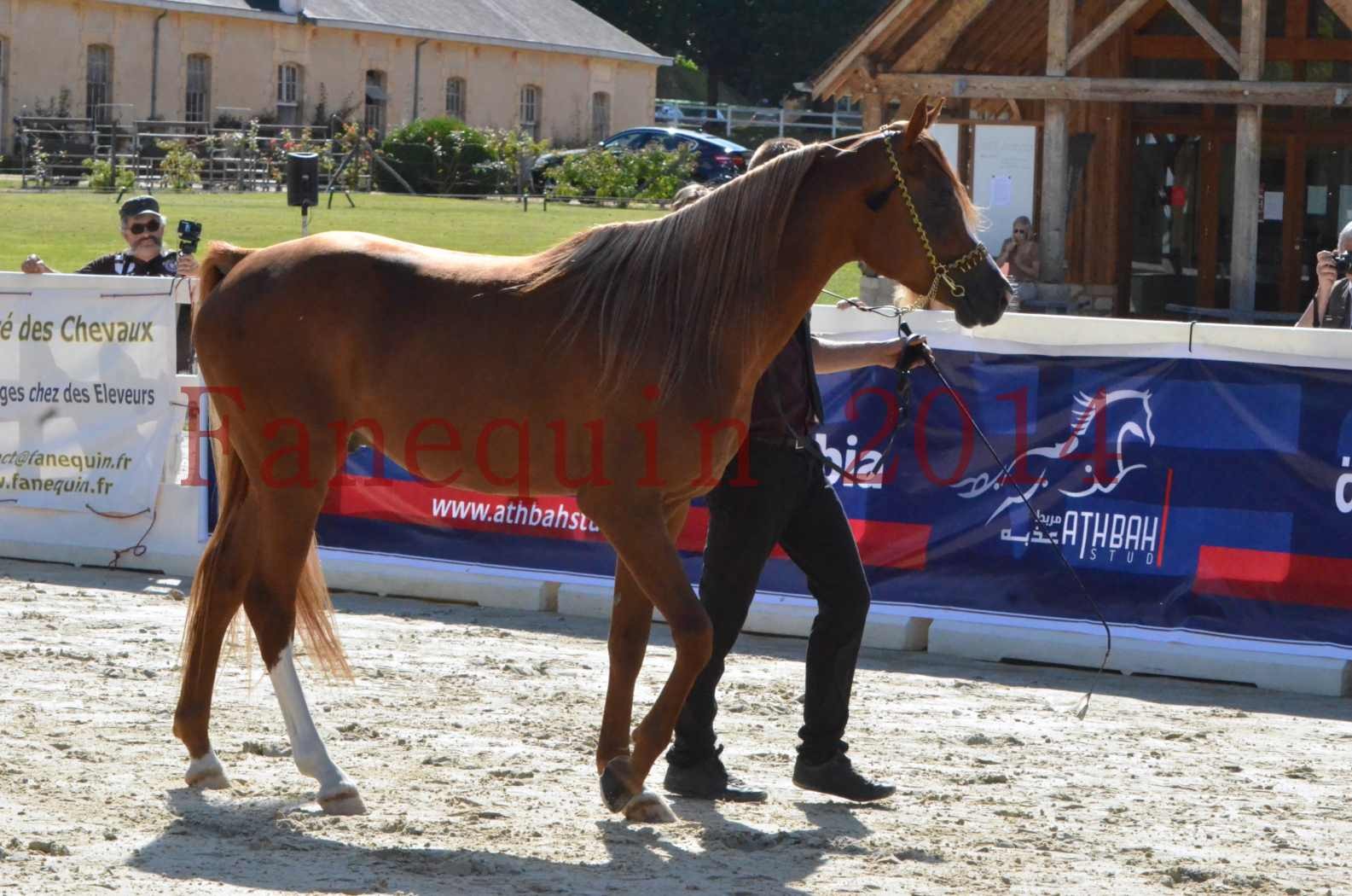 Championnat de FRANCE 2014 - Amateurs - SELECTO IBN SAMAWI - 019