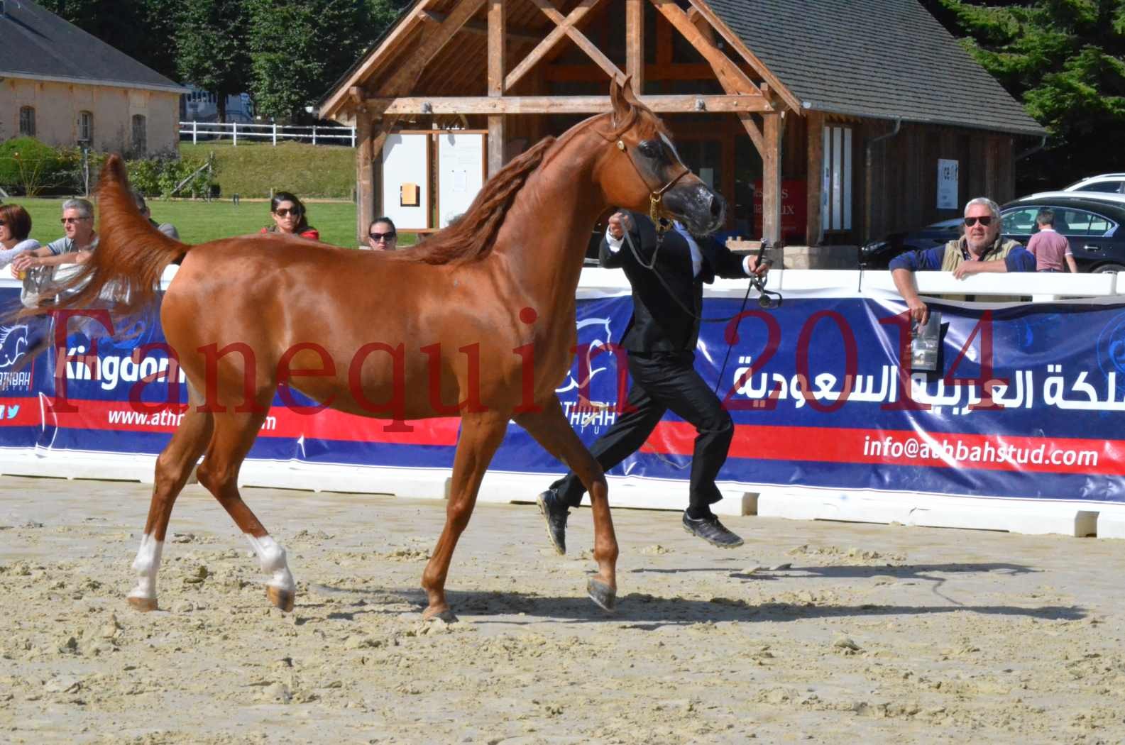 ﻿CHAMPIONNAT DE FRANCE 2014 A POMPADOUR - Sélection - KINSHASA JA - 02