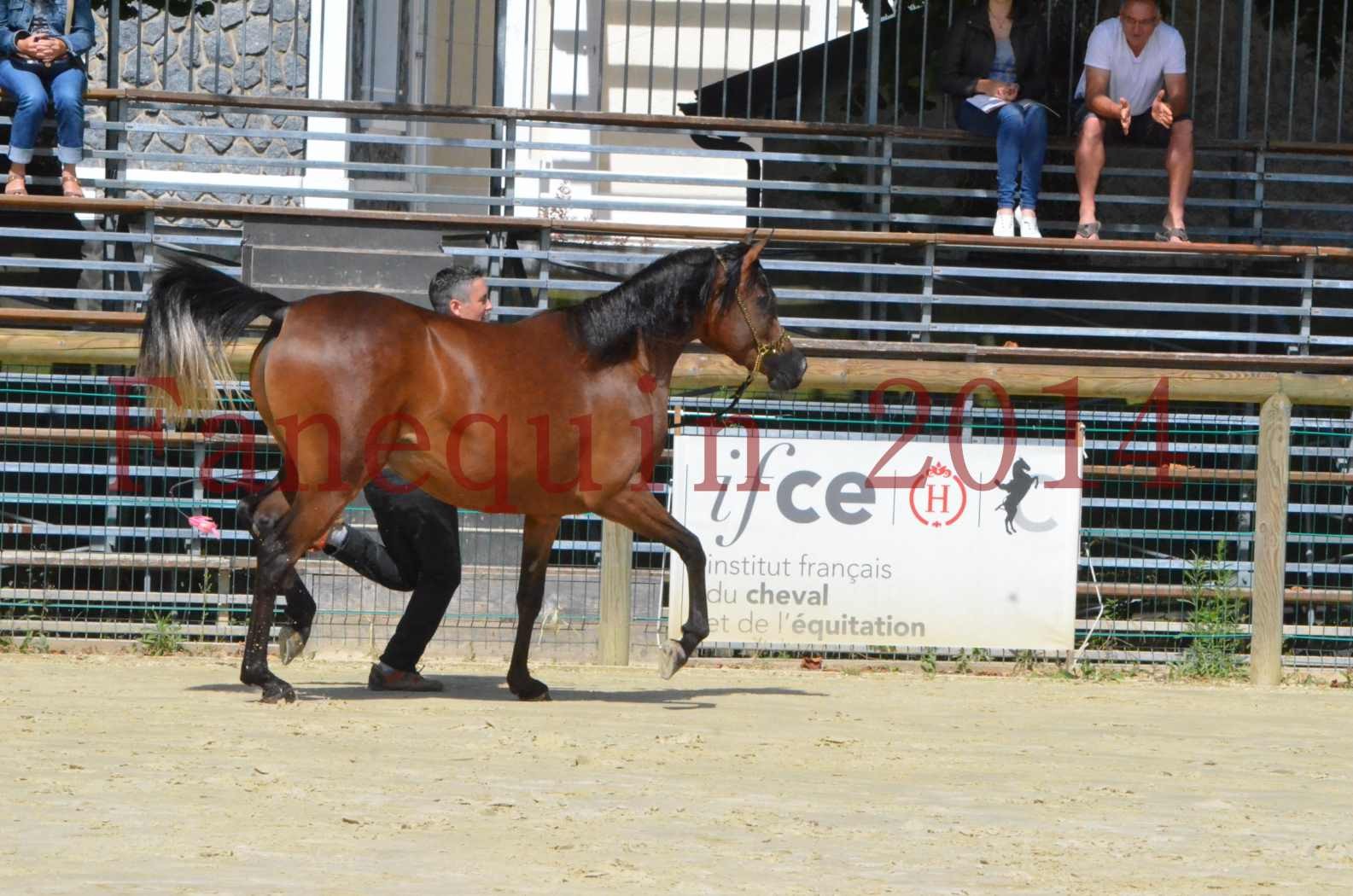 Championnat de FRANCE 2014 - Amateurs - KAL'ELLE D'ELHORIA - 67