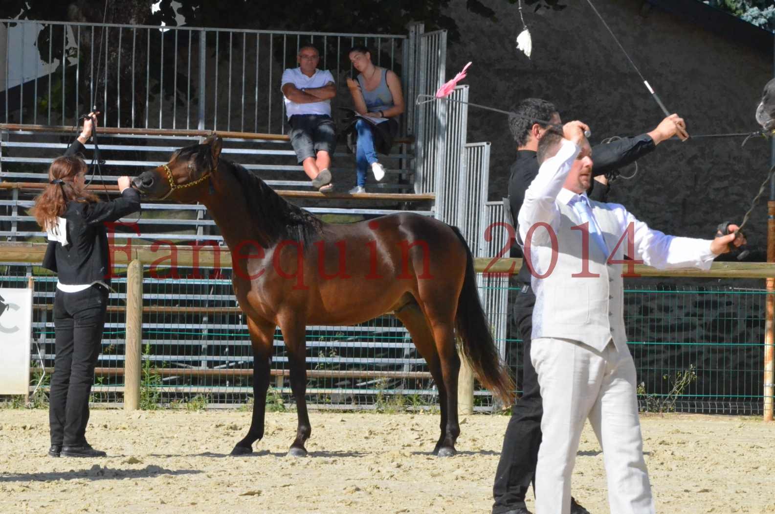 Championnat de FRANCE 2014 - Amateurs - JA KHALEB - 41