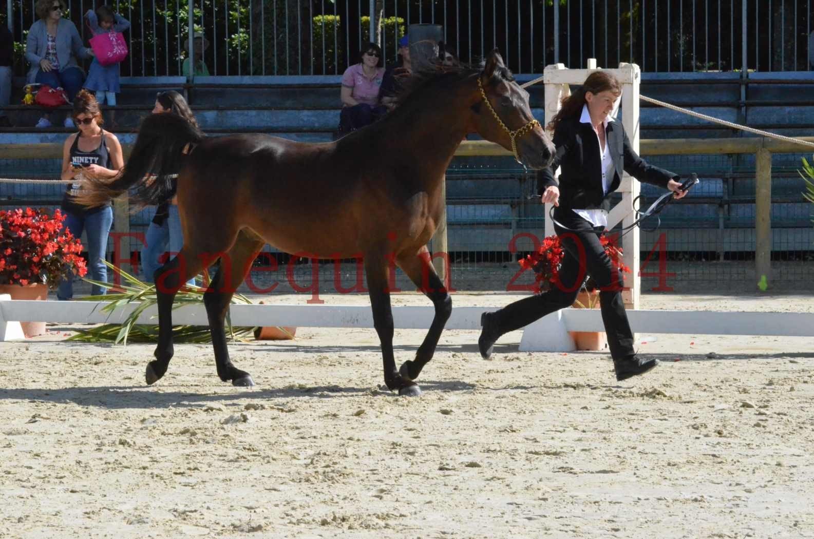 Championnat de FRANCE 2014 - Amateurs - JA KHALEB - 02