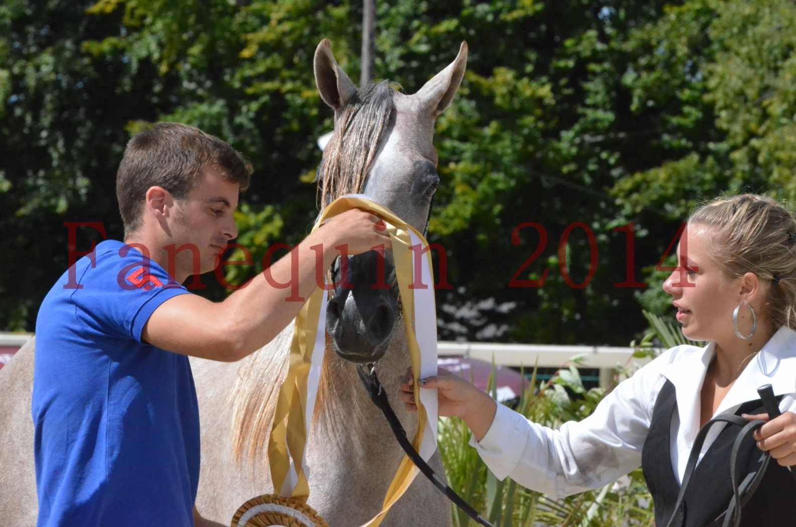 Championnat de FRANCE 2014 - Amateurs - SANA ISHANE - 74