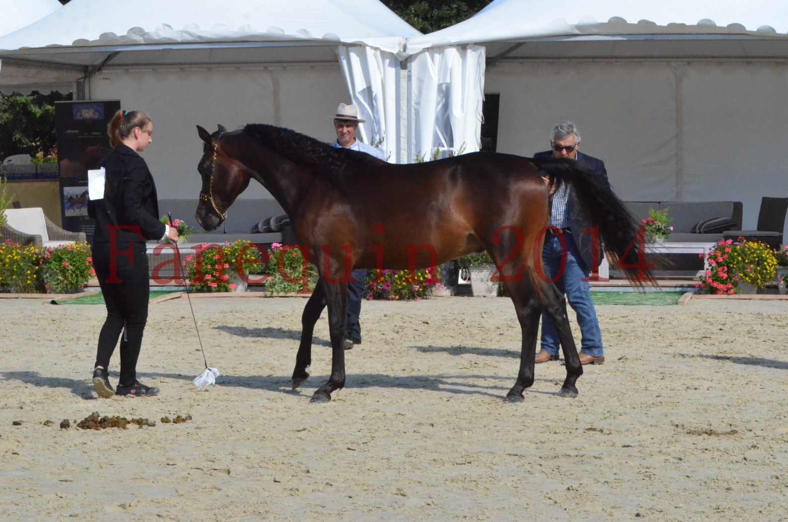 Championnat de FRANCE 2014 - Amateurs - JA KHALEB - 40