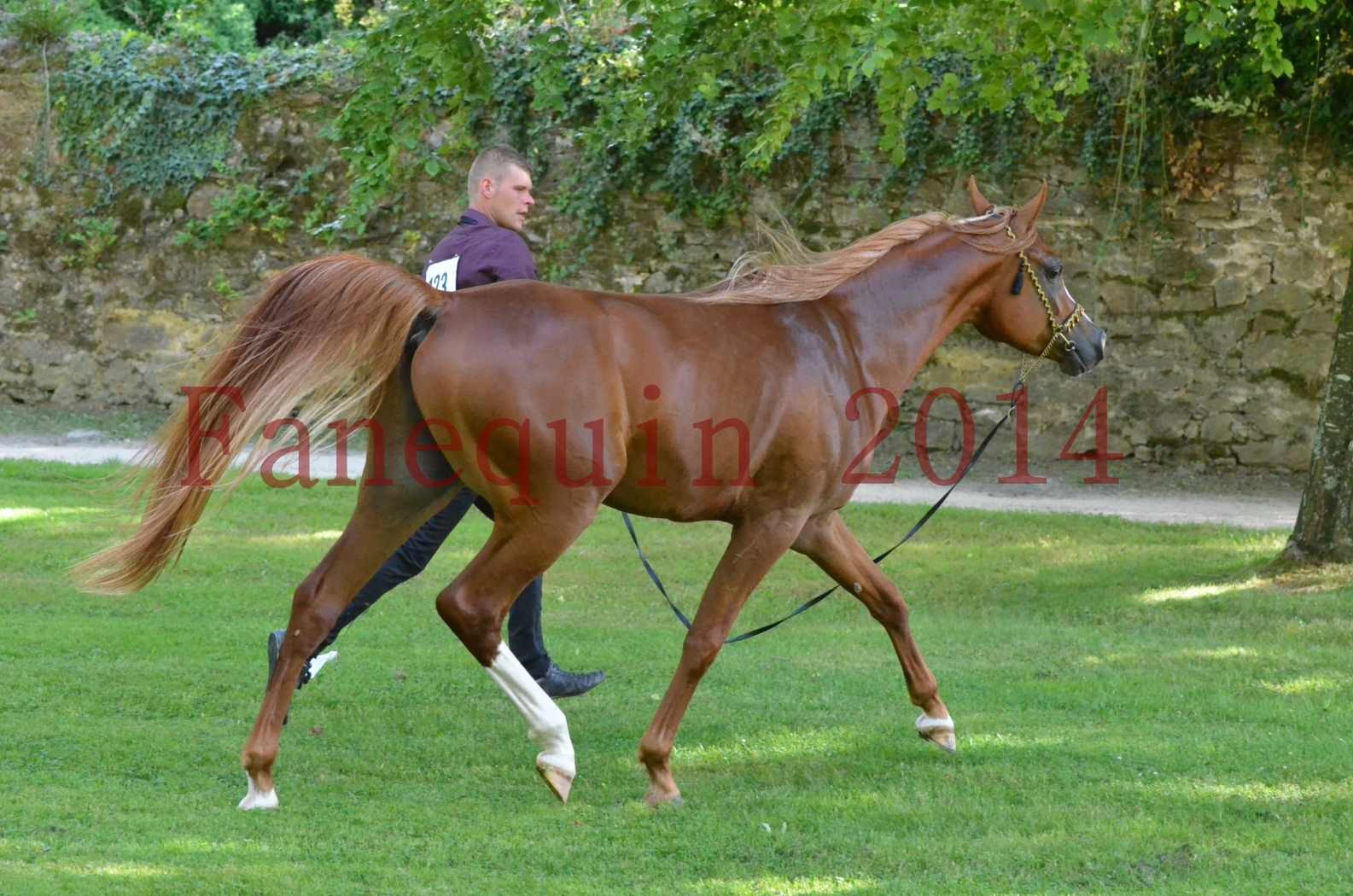 Championnat de FRANCE 2014 - Amateurs - SELECTO IBN SAMAWI - 128