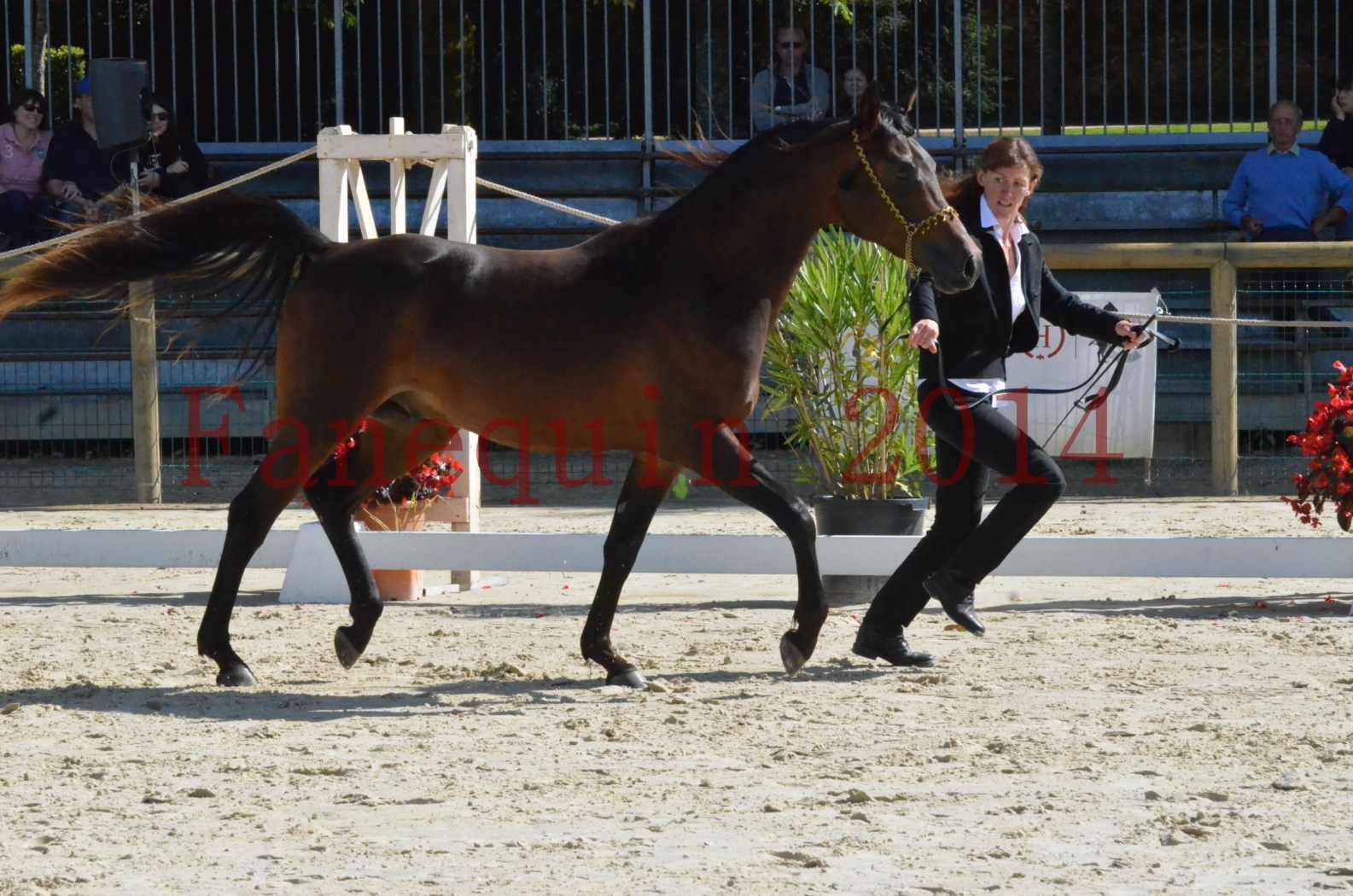 Championnat de FRANCE 2014 - Amateurs - JA KHALEB - 03