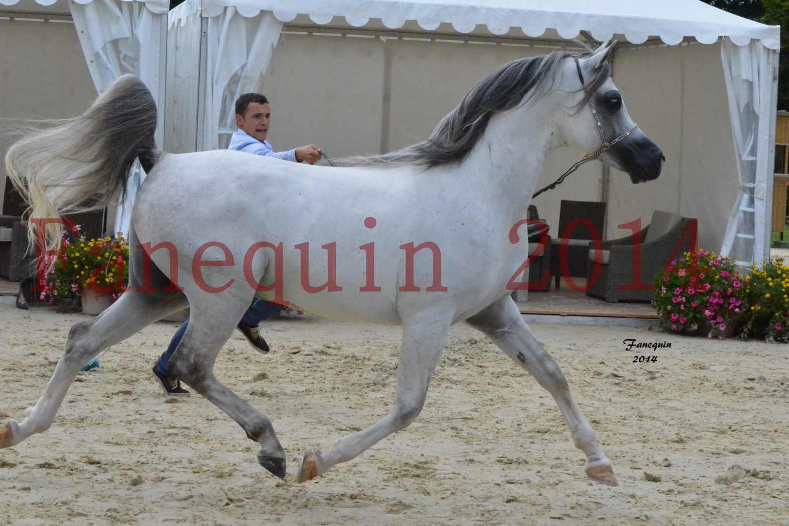 CHAMPIONNAT DE FRANCE  2014 A POMPADOUR - Notre Sélection - SHAOLIN DE NEDJAIA - 18