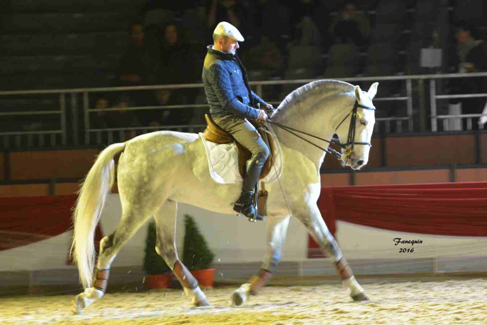 Cheval Passion 2016 - Présentation des LUSITANIENS - Ecurie de Max VENDRELL & Corinne BOUCHITTE - 20