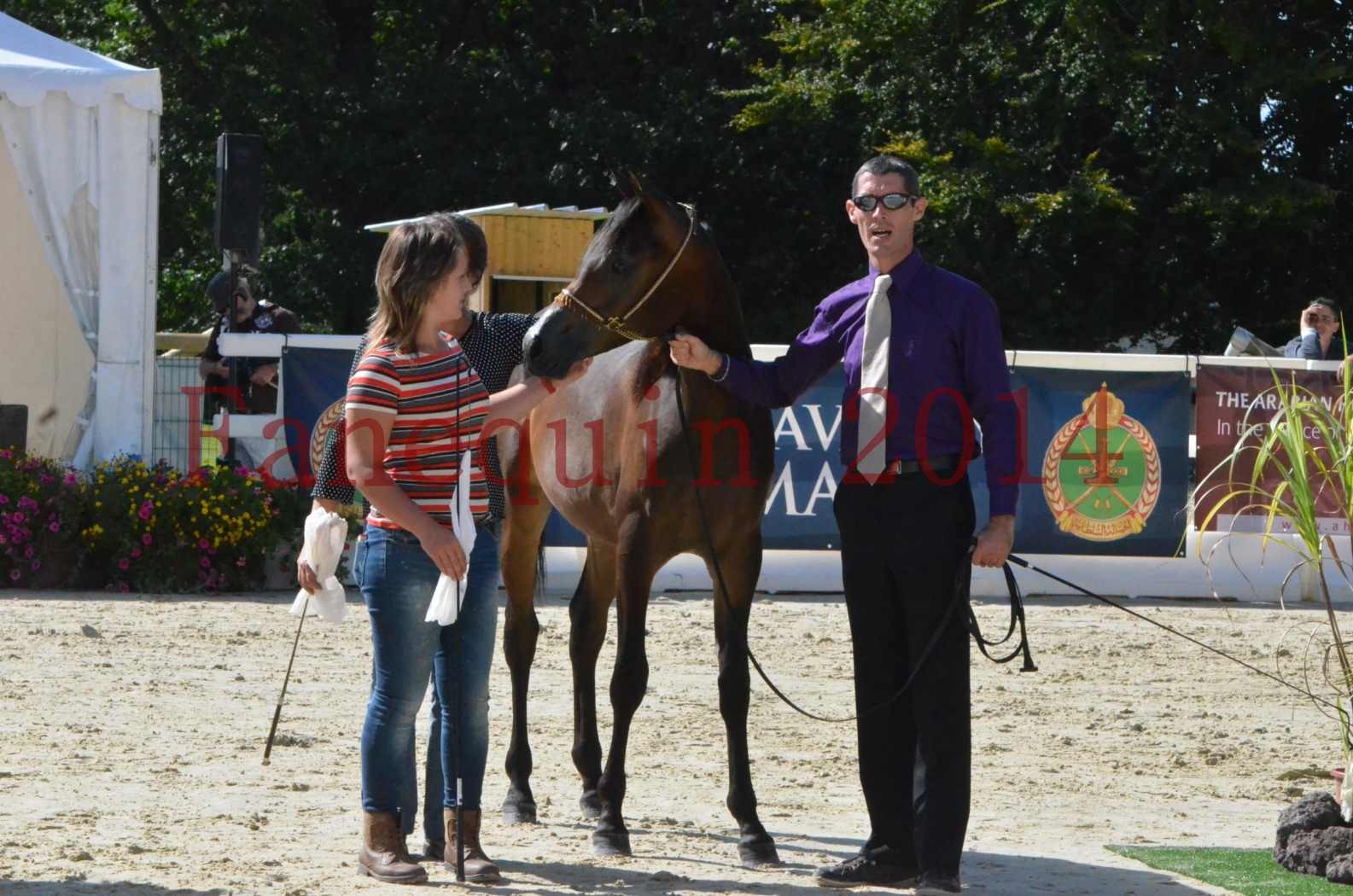 Championnat de FRANCE 2014 - Amateurs - SH FARAJAA - 56