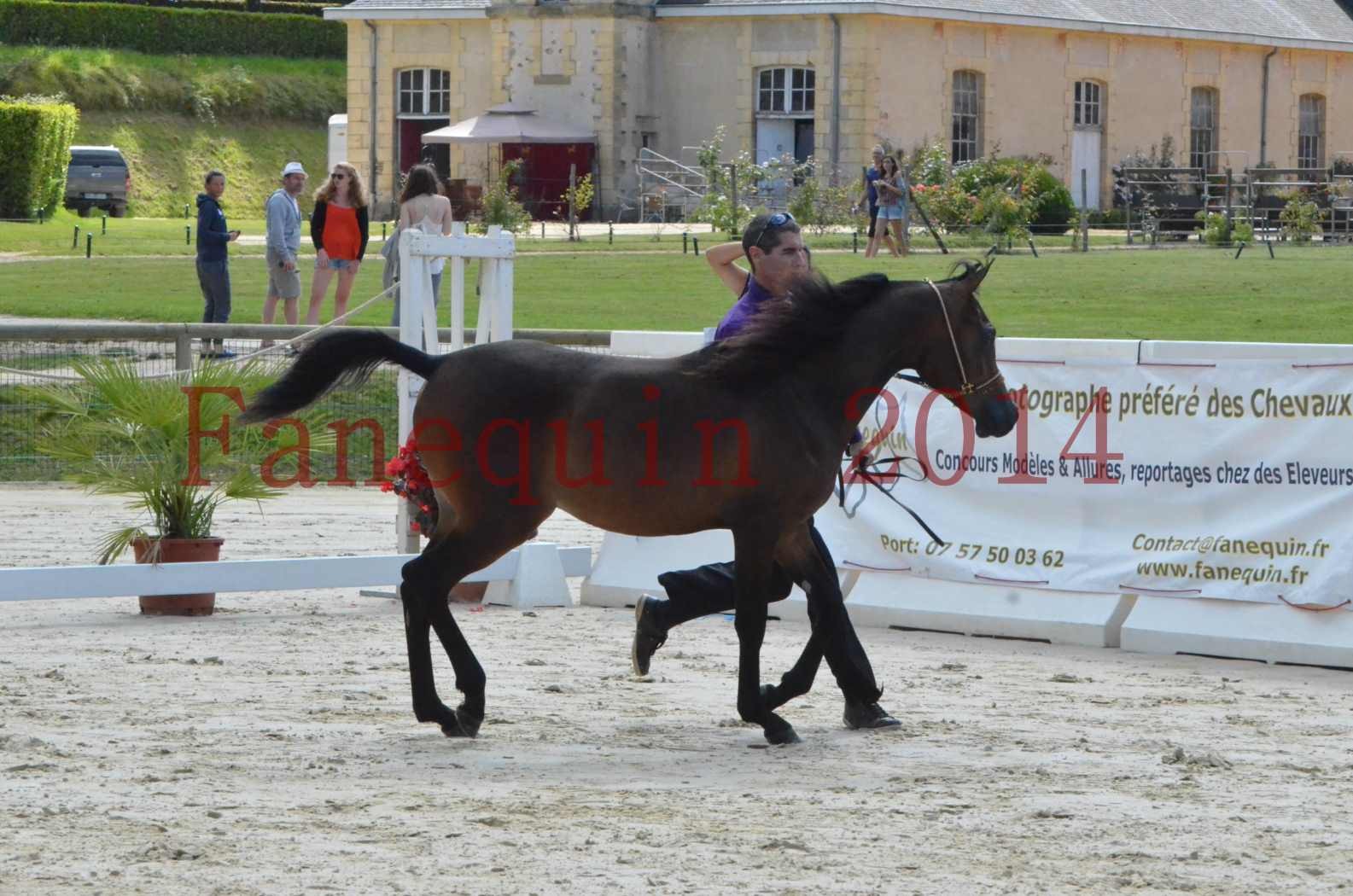 Championnat de FRANCE 2014 - Amateurs - SH FARAJAA - 13