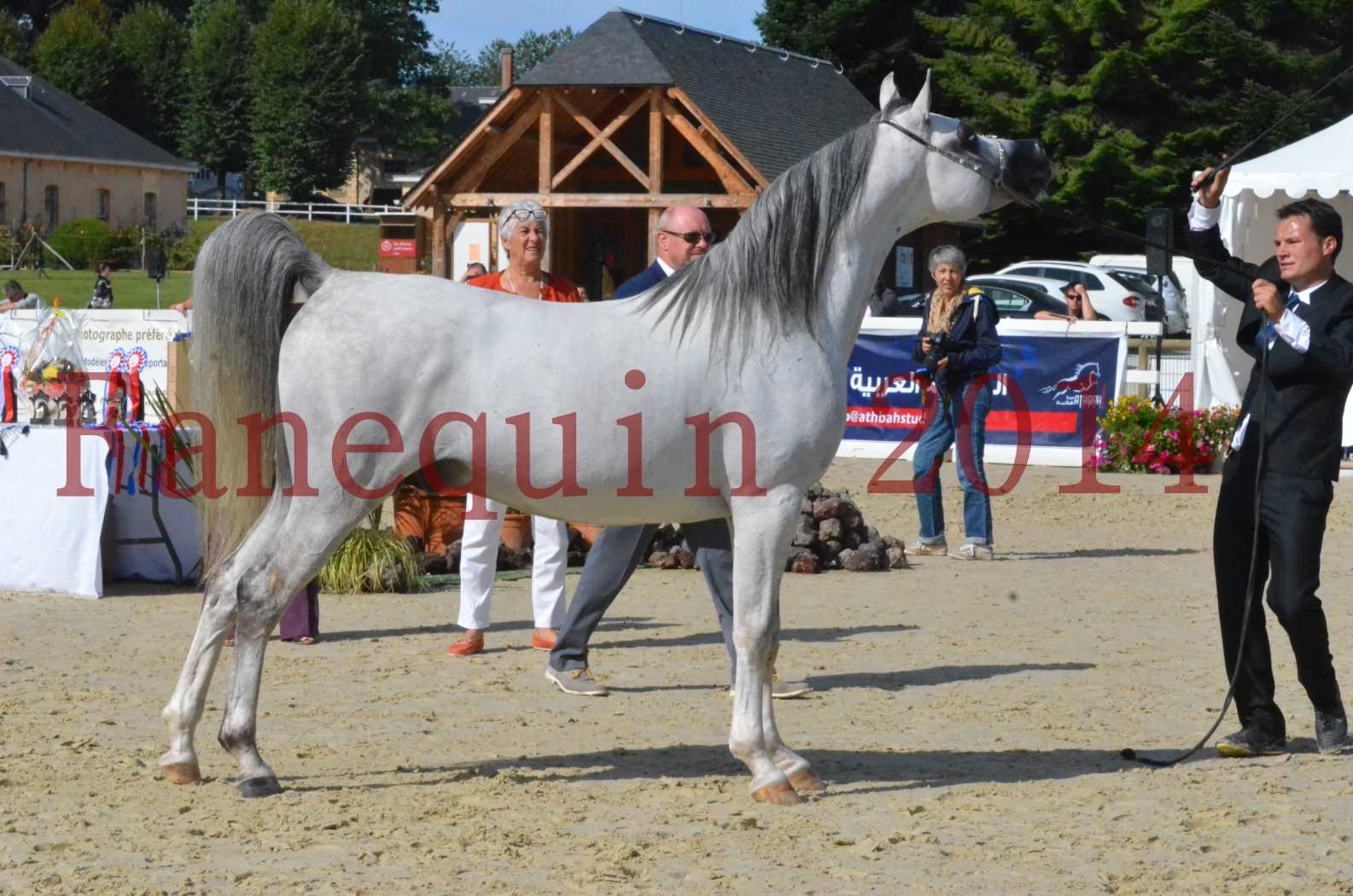 CHAMPIONNAT DE FRANCE  2014 A POMPADOUR - Sélection - SHAOLIN DE NEDJAIA - 55