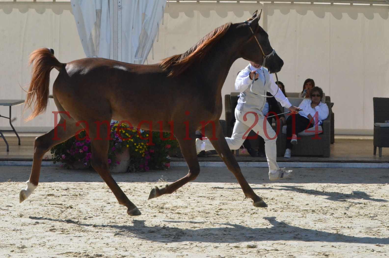 Championnat de FRANCE 2014 - Amateurs - LAMAL - 17