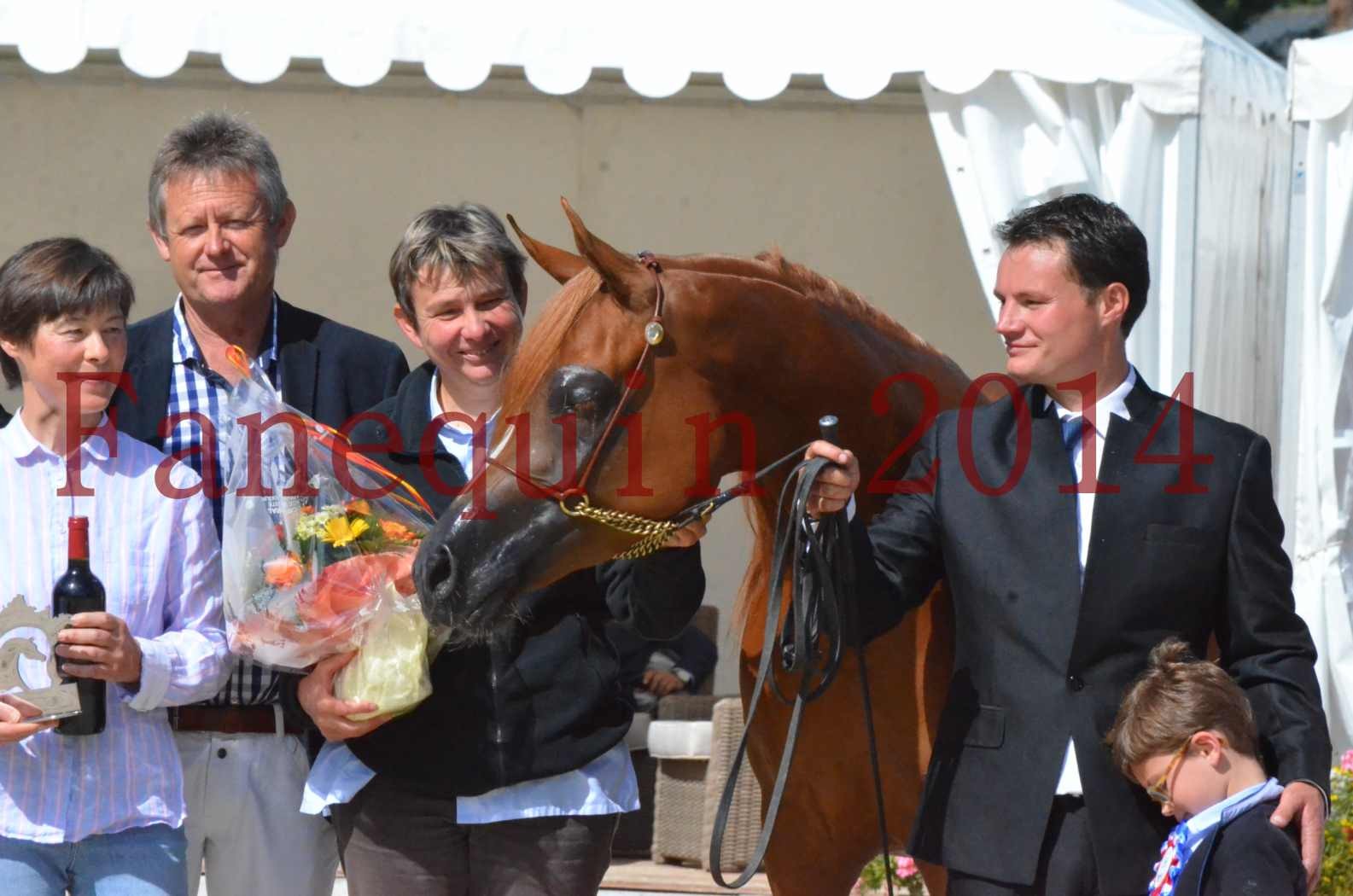 ﻿CHAMPIONNAT DE FRANCE 2014 A POMPADOUR - Sélection - KINSHASA JA - 88