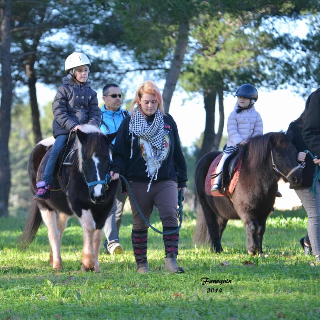 Marchés de Noël 2014 - Promenades en Poneys à Pignan - 28