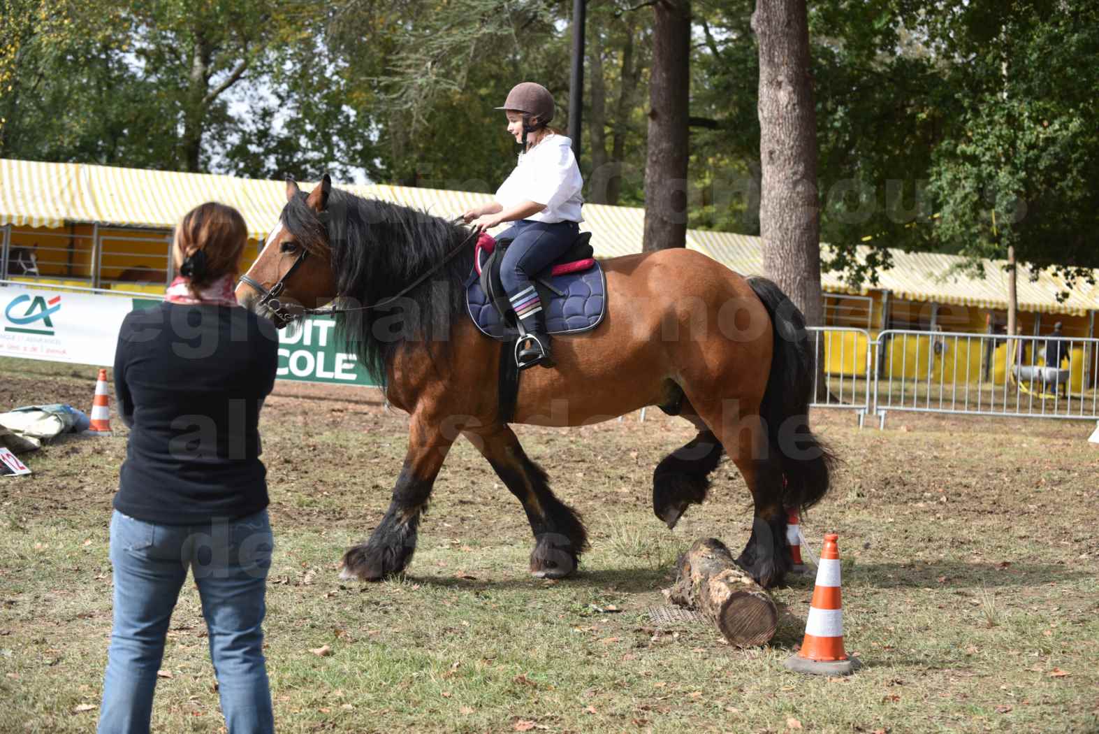 Concours régional de chevaux de traits 2017 - QUIQUINOU - 4