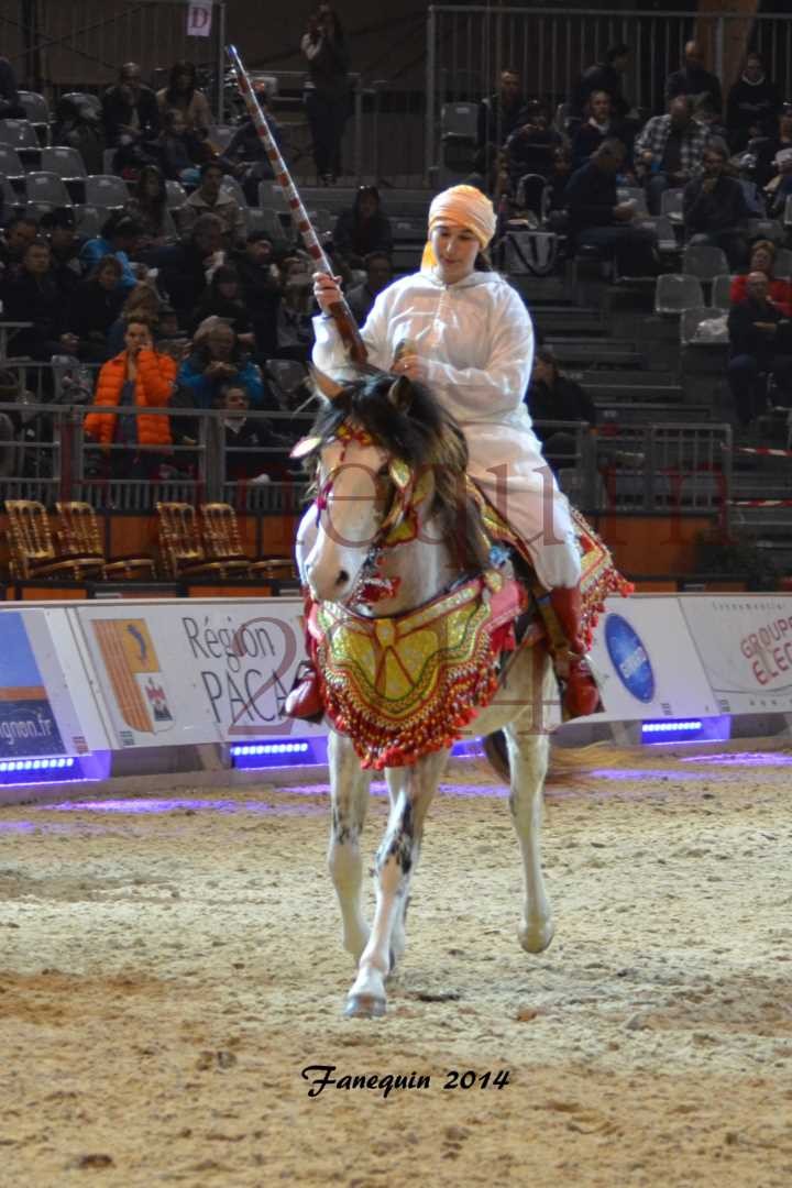 Show des races - Chevaux BARBE 32