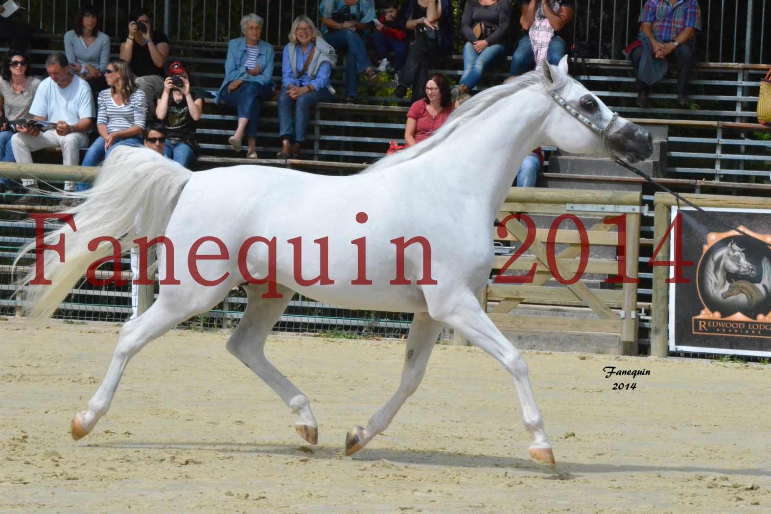 ﻿CHAMPIONNAT DE FRANCE 2014 A POMPADOUR - Notre Sélection - BLEUENN MILIN AVEL - 10