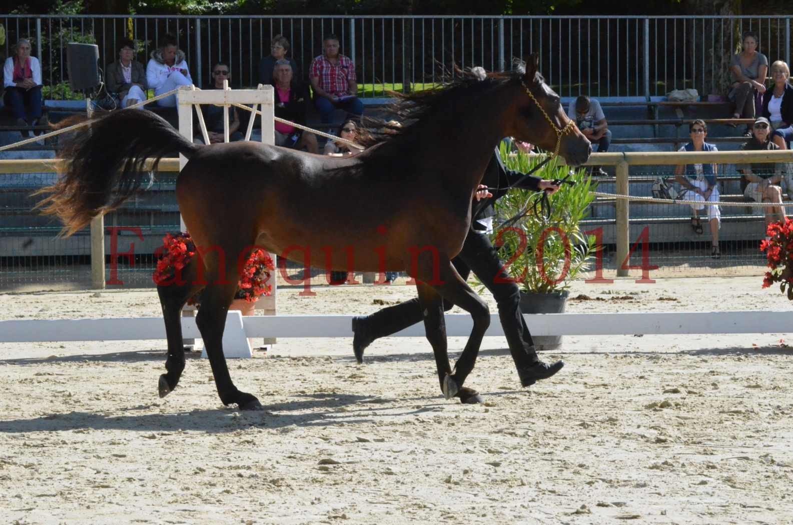 Championnat de FRANCE 2014 - Amateurs - JA KHALEB - 07