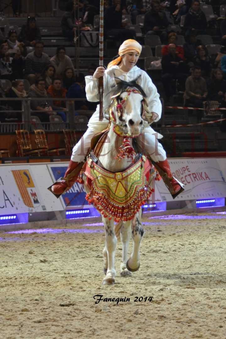 Show des races - Chevaux BARBE 01