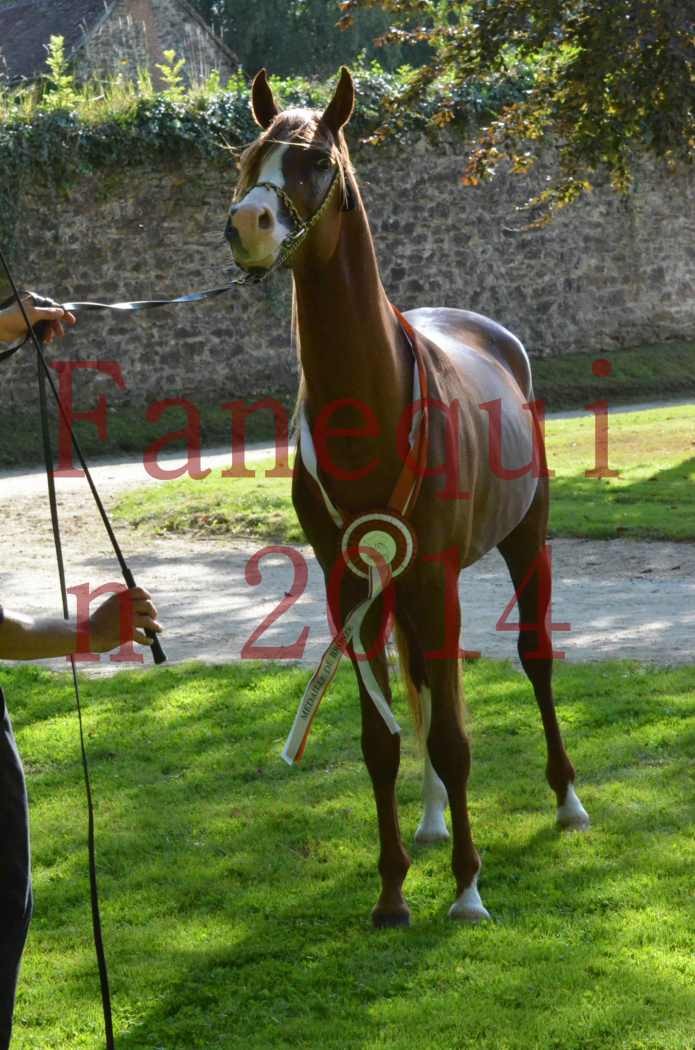 Championnat de FRANCE 2014 - Amateurs - SELECTO IBN SAMAWI - 184