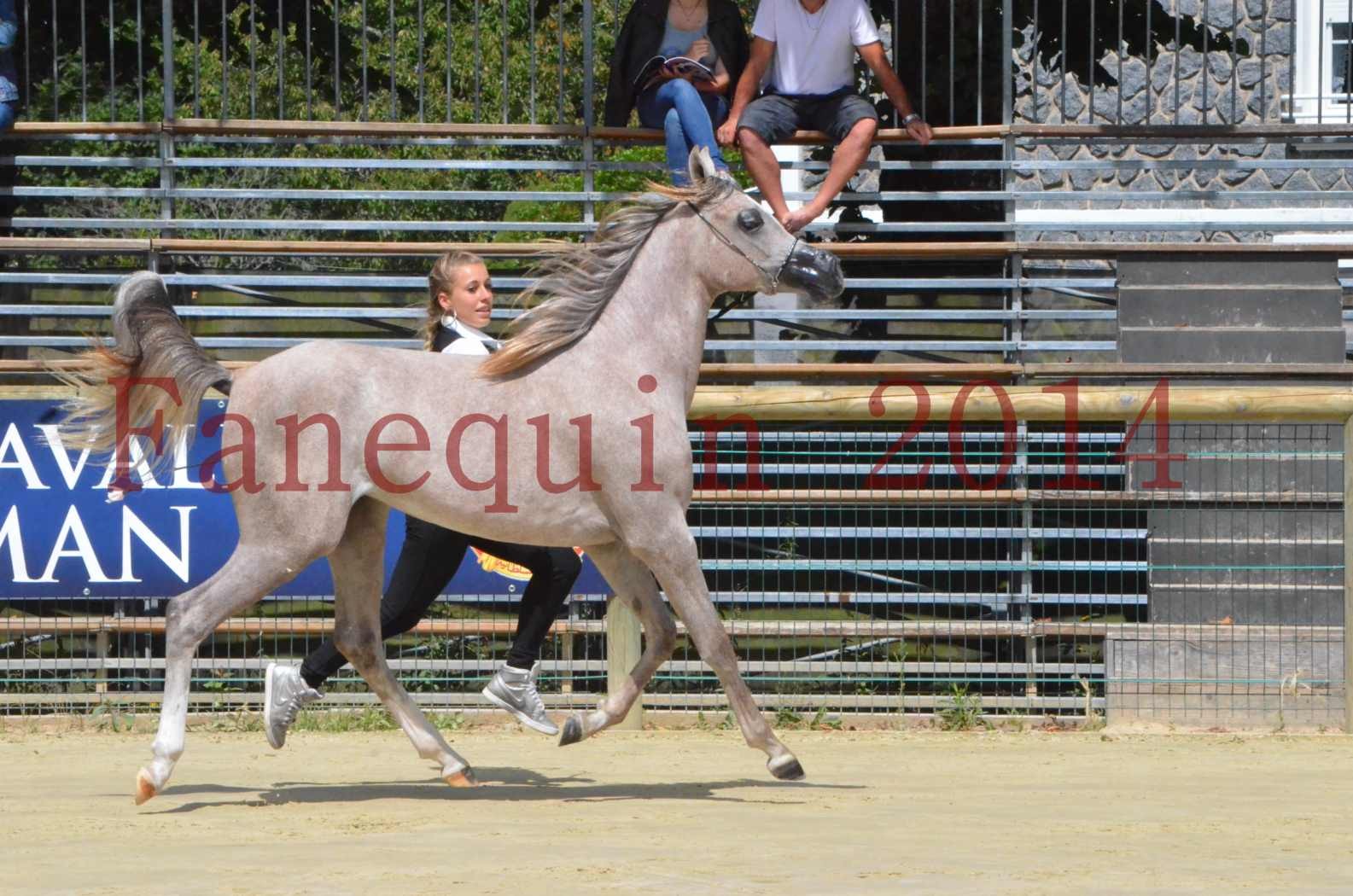 Championnat de FRANCE 2014 - Amateurs - SANA ISHANE - 03