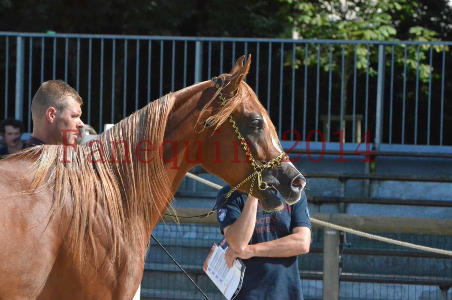 Championnat de FRANCE 2014 - Amateurs - SELECTO IBN SAMAWI - 026