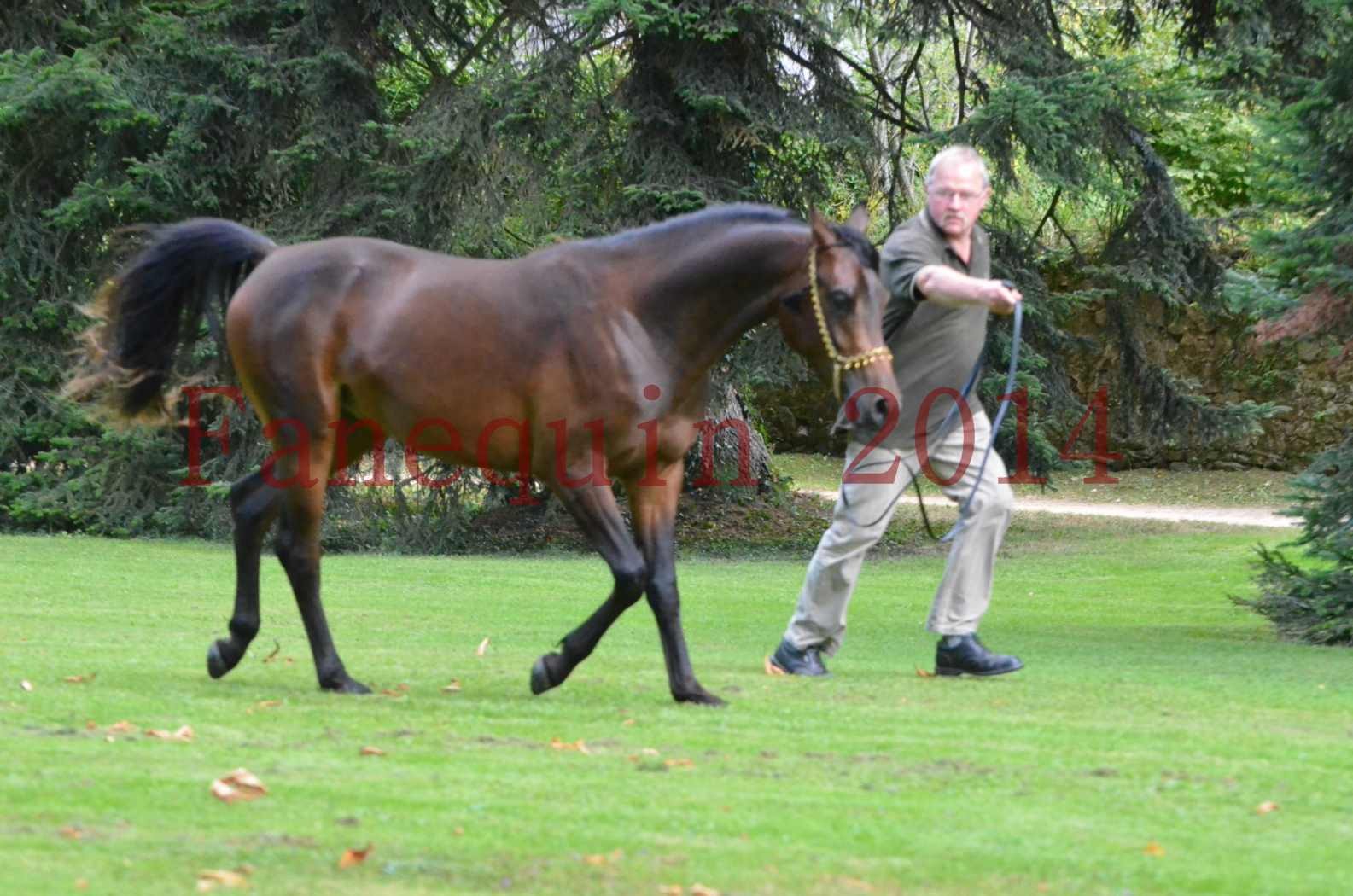 Championnat de FRANCE 2014 - Amateurs - JA KHALEB - 70