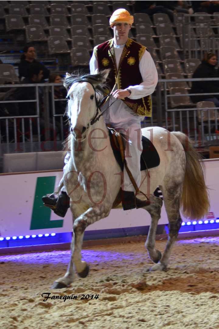 Show des races - Chevaux BARBE 33