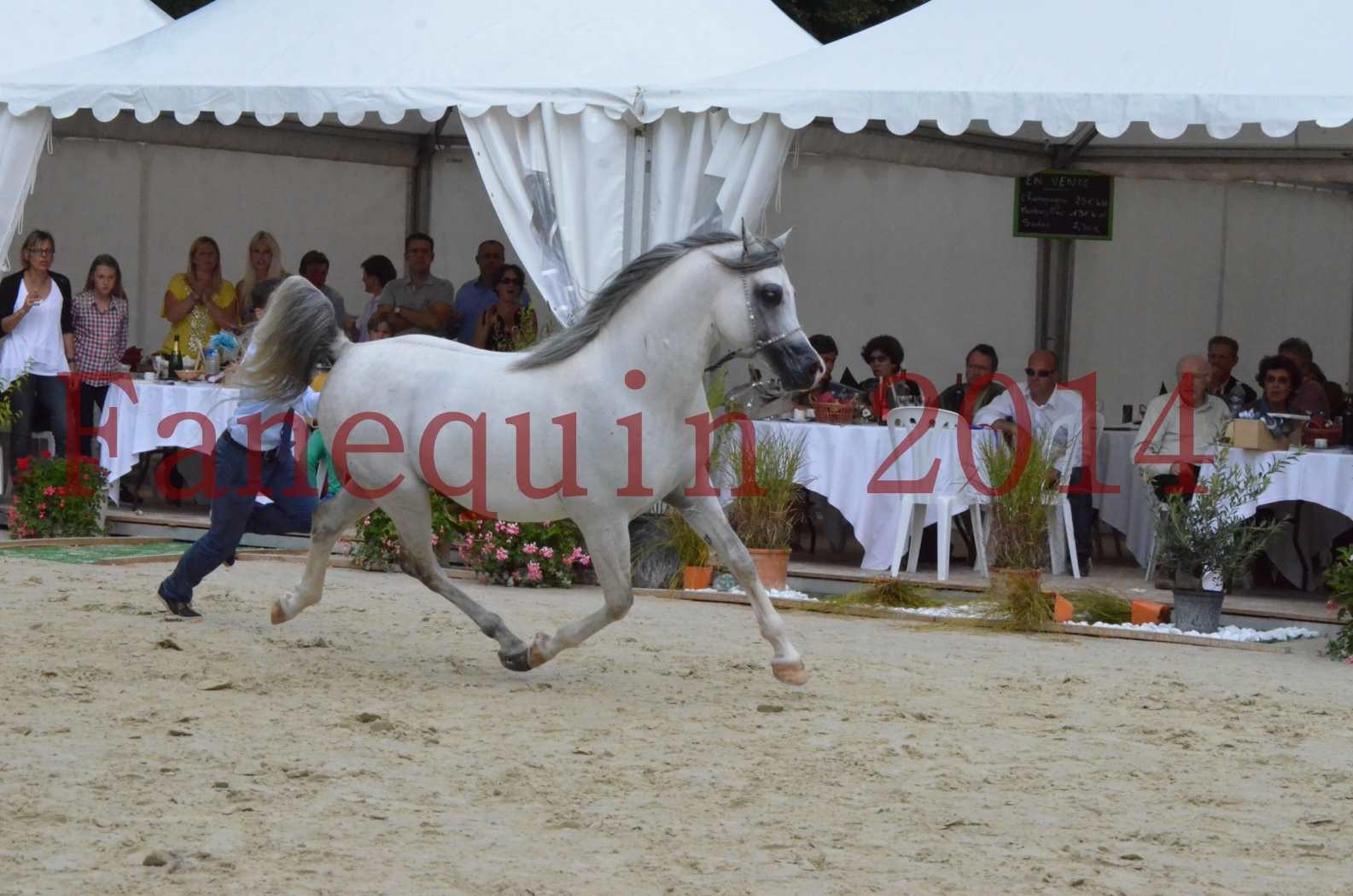 CHAMPIONNAT DE FRANCE  2014 A POMPADOUR - Championnat - SHAOLIN DE NEDJAIA - 10