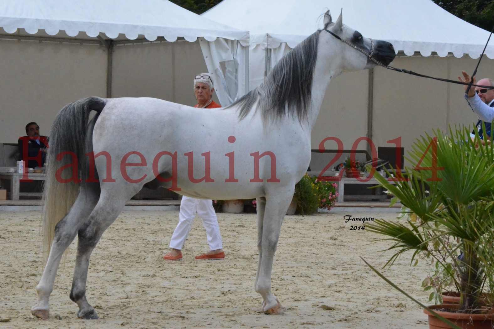 CHAMPIONNAT DE FRANCE  2014 A POMPADOUR - Notre Sélection - SHAOLIN DE NEDJAIA - 23