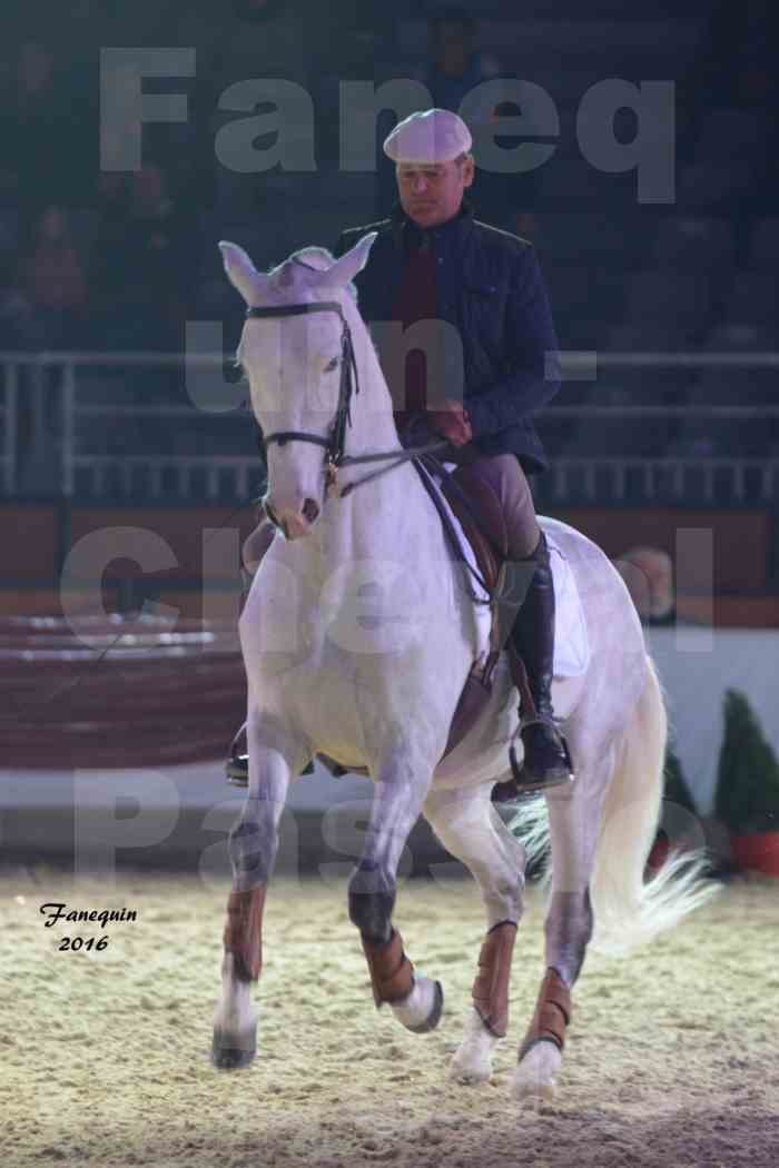 Cheval Passion 2016 - Présentation des LUSITANIENS - Ecurie de Max VENDRELL & Corinne BOUCHITTE - 05