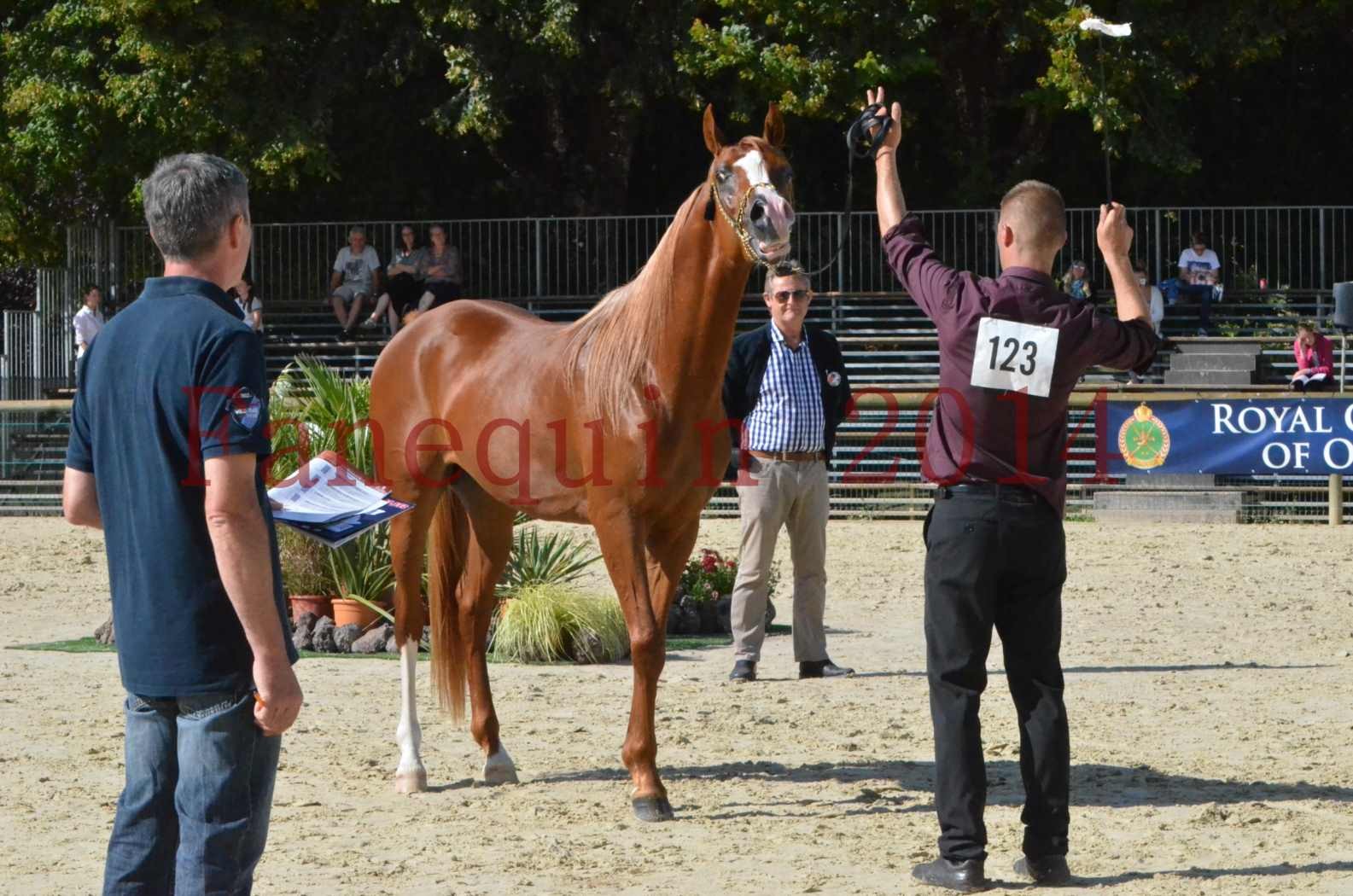 Championnat de FRANCE 2014 - Amateurs - SELECTO IBN SAMAWI - 068